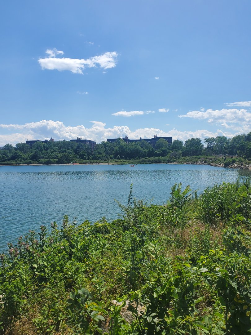 Marine Park Salt Marsh & Nature Center - Scenery