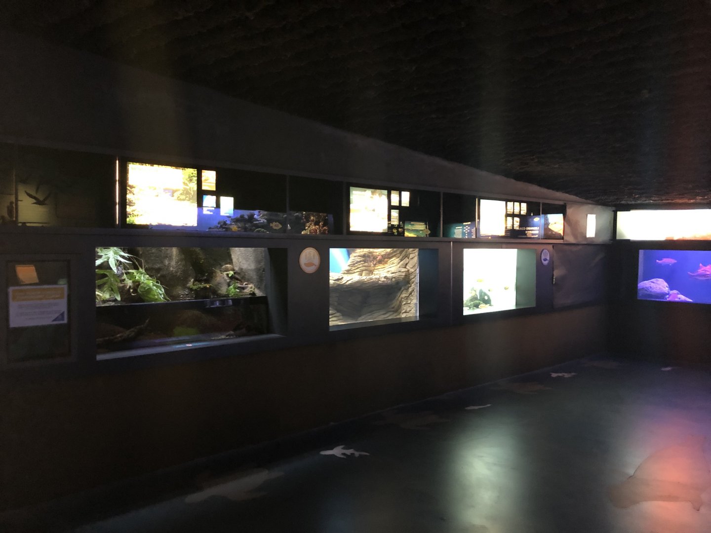 "Marine Protected Areas & Conservation" Gallery - Left wall