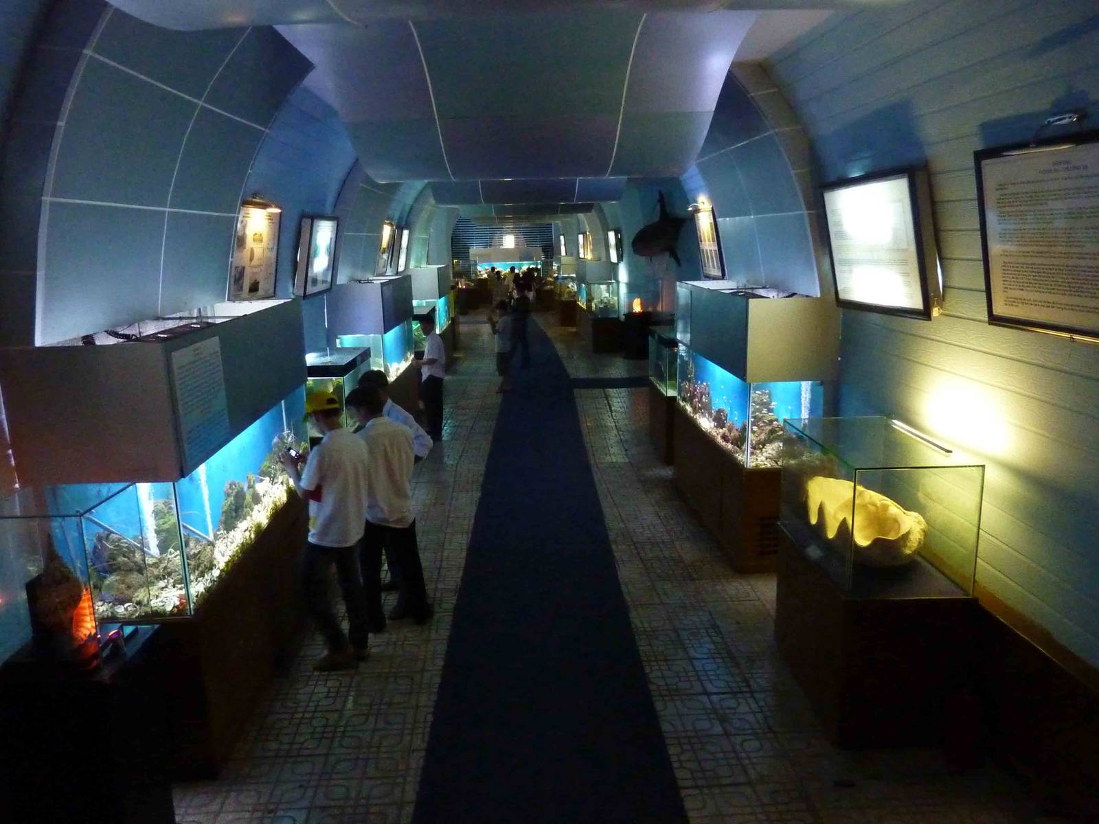 Marine resources of the Spratly and Paracel archipelagos, May 2013.