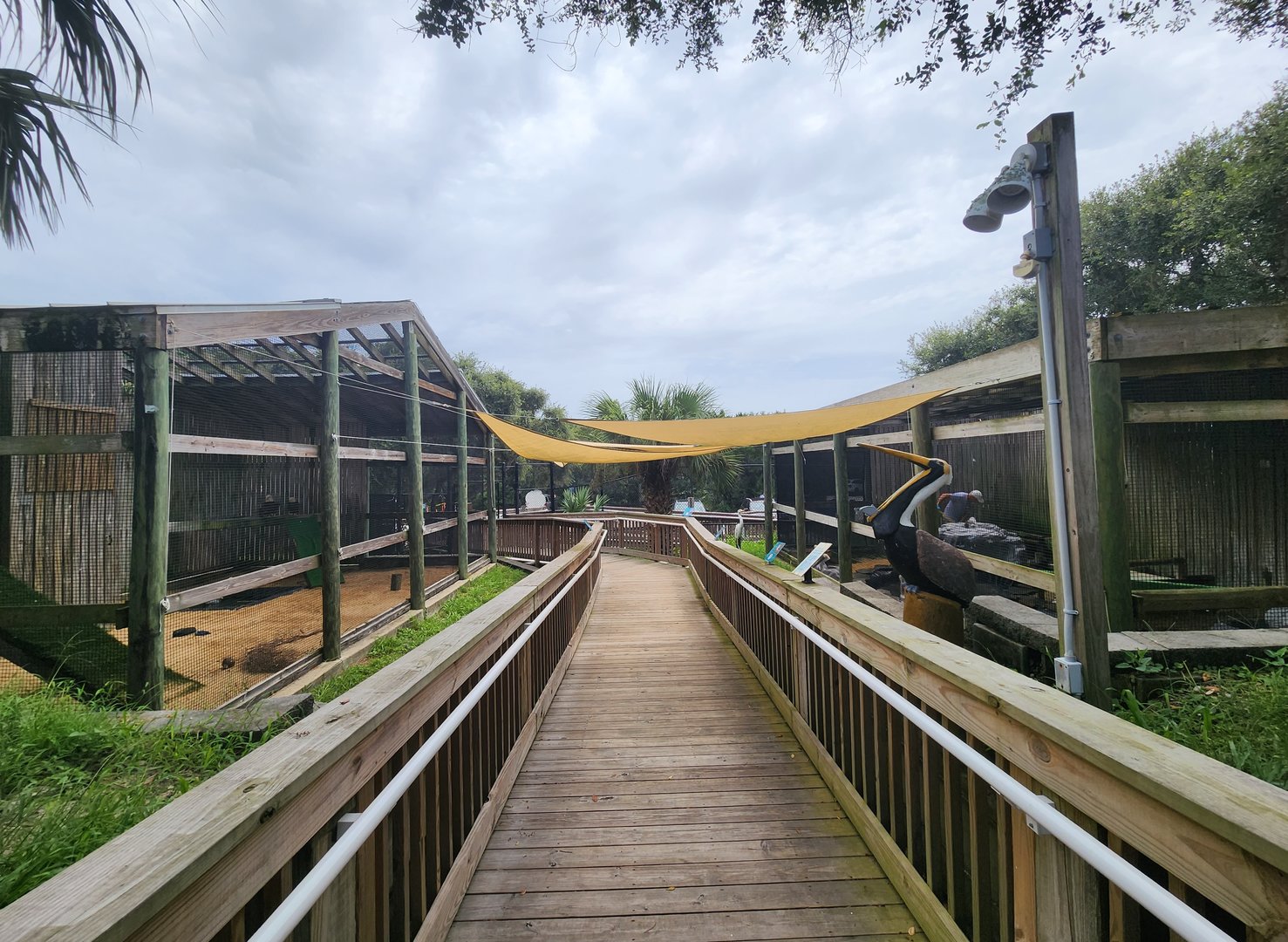 Marine Science Center - Bird sanctuary pathway