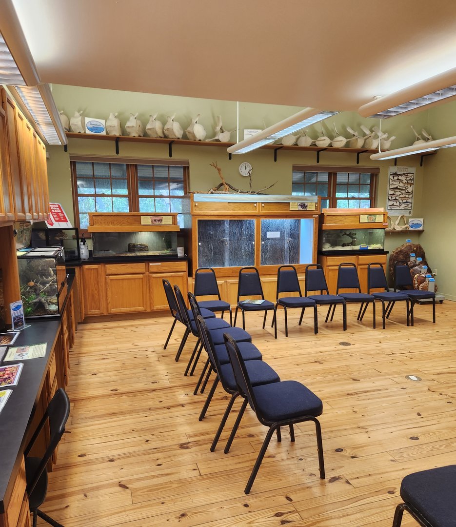 Marine Science Center - Reptile room + lab