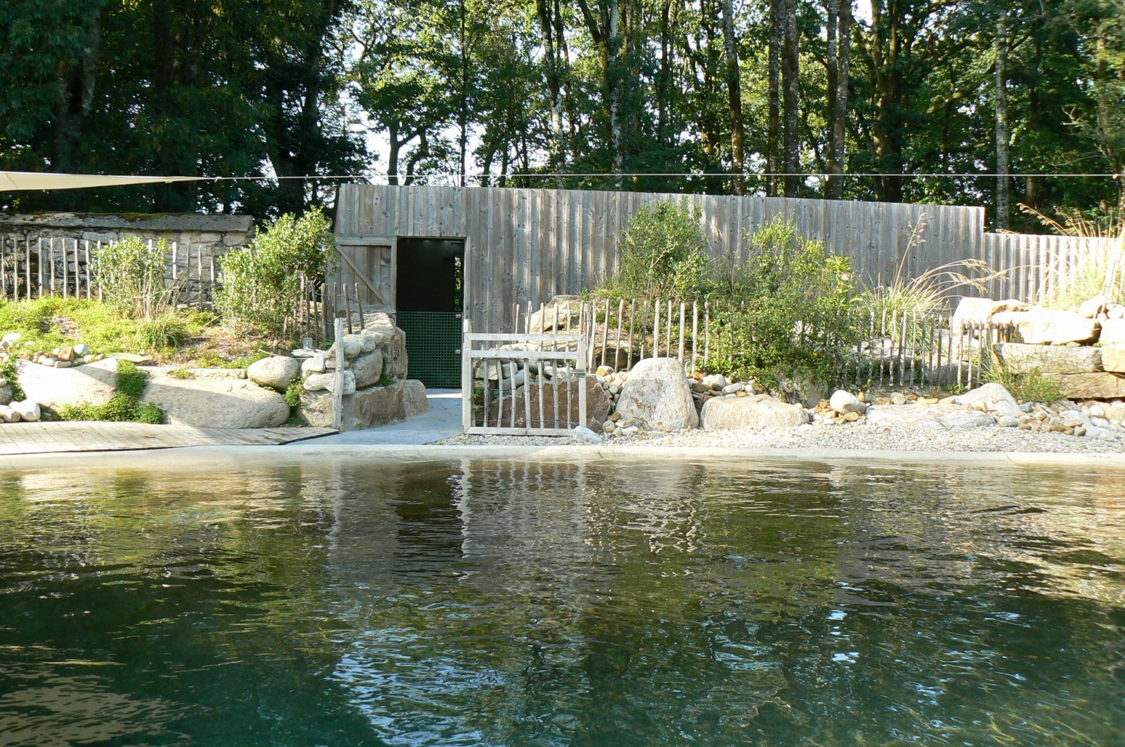 Marine space - atlantic harbour seals' house