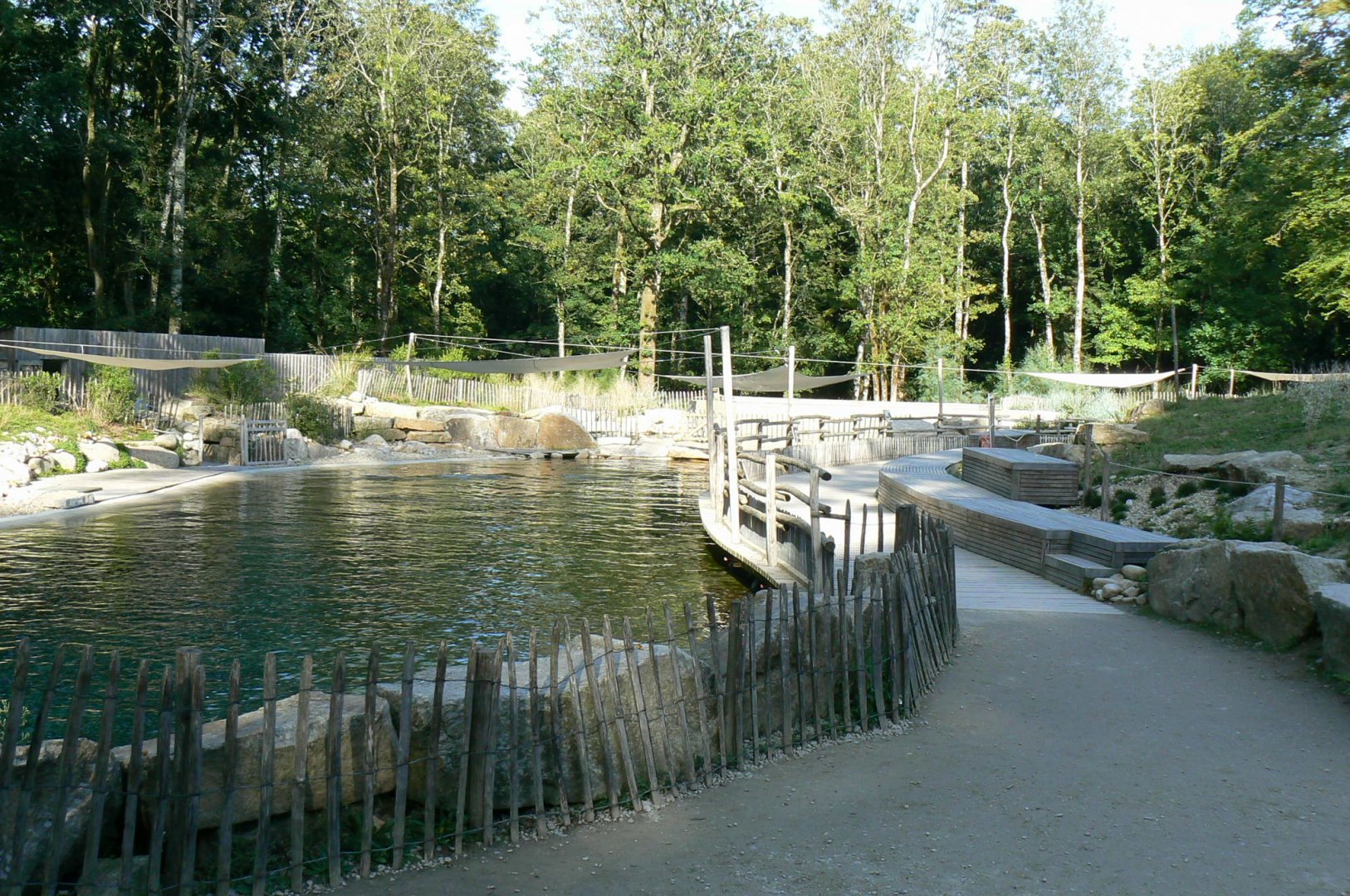 Marine space - First atlantic harbour seals' pool