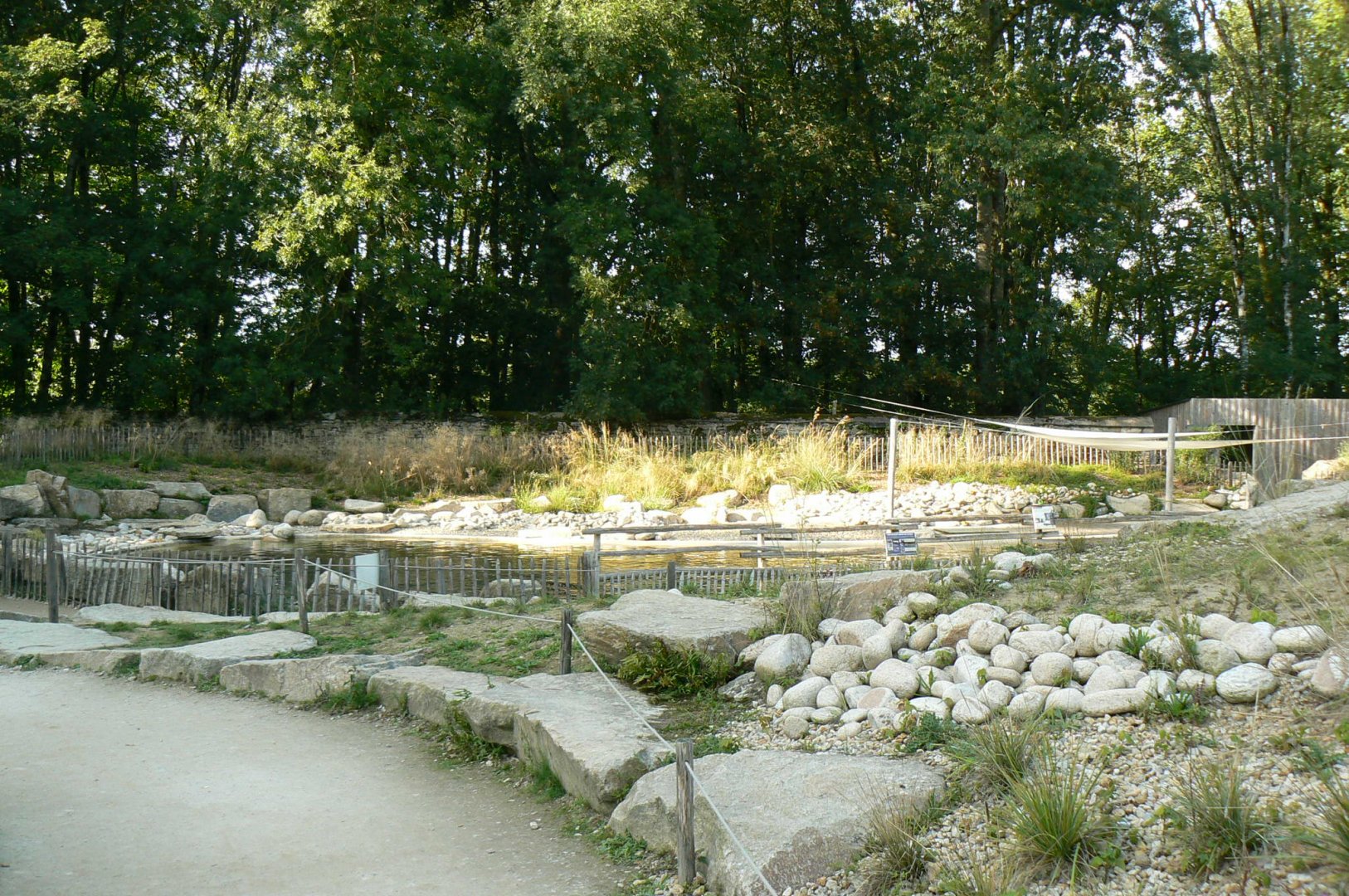 Marine space - First atlantic harbour seals' pool