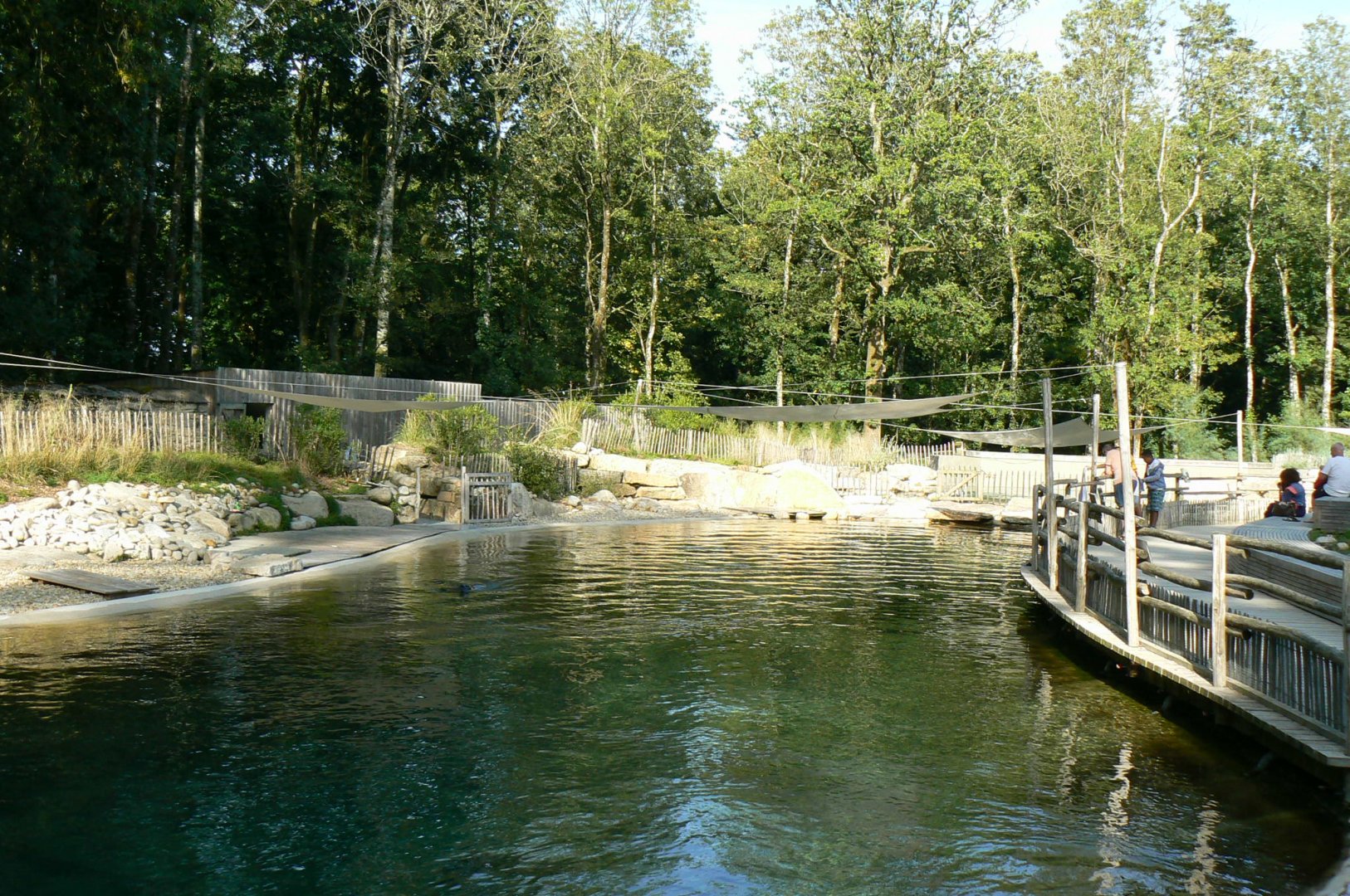 Marine space - First atlantic harbour seals' pool