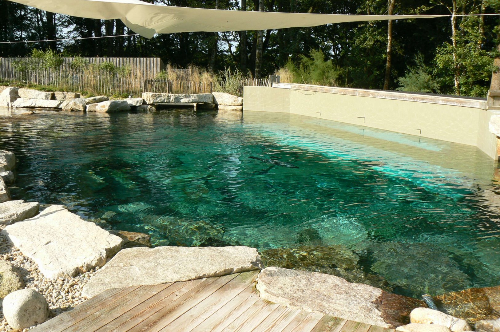 Marine space - second atlantic harbour seals'pool