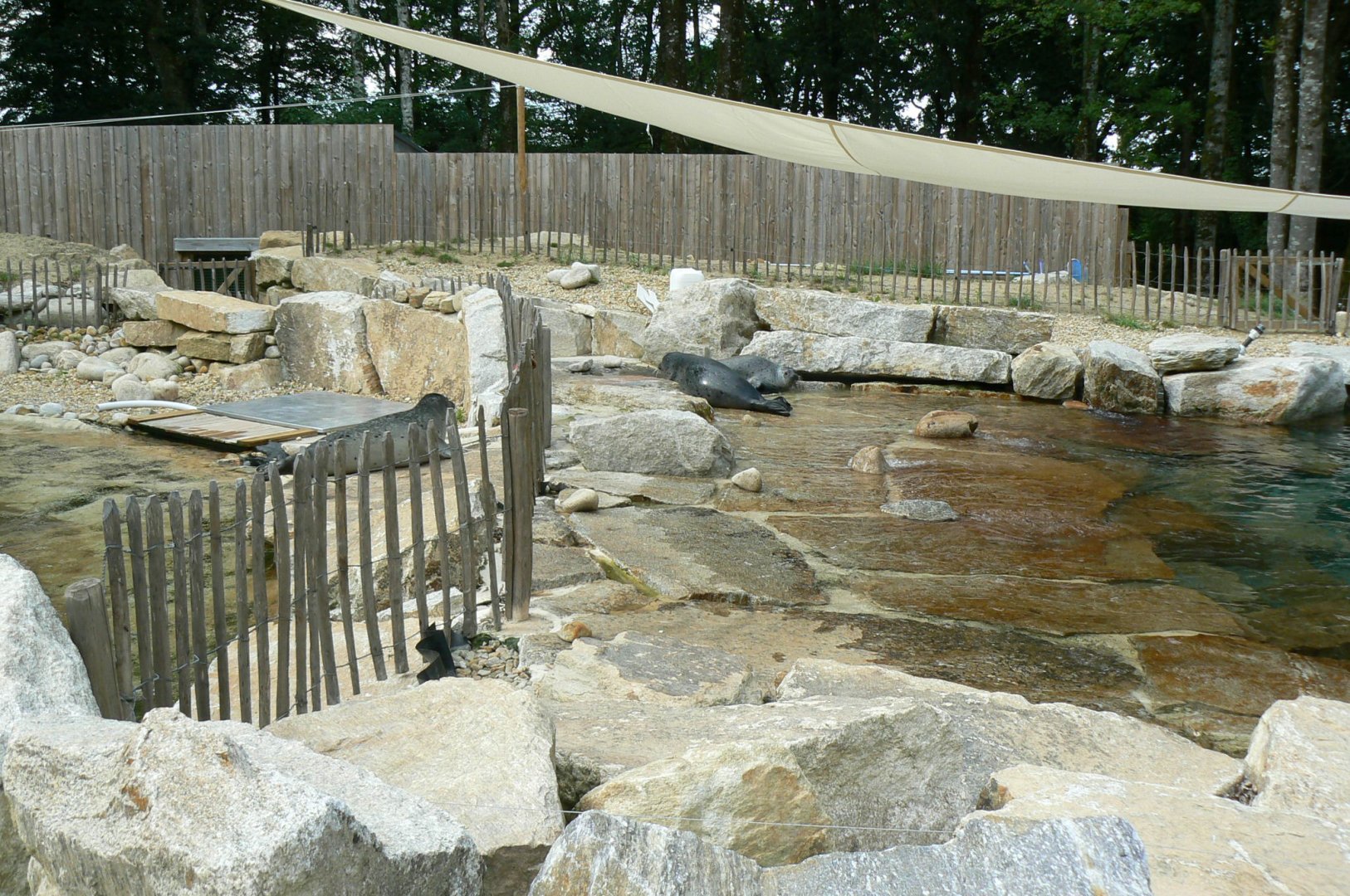 Marine space - separation between the two atlantic harbour seals' pools