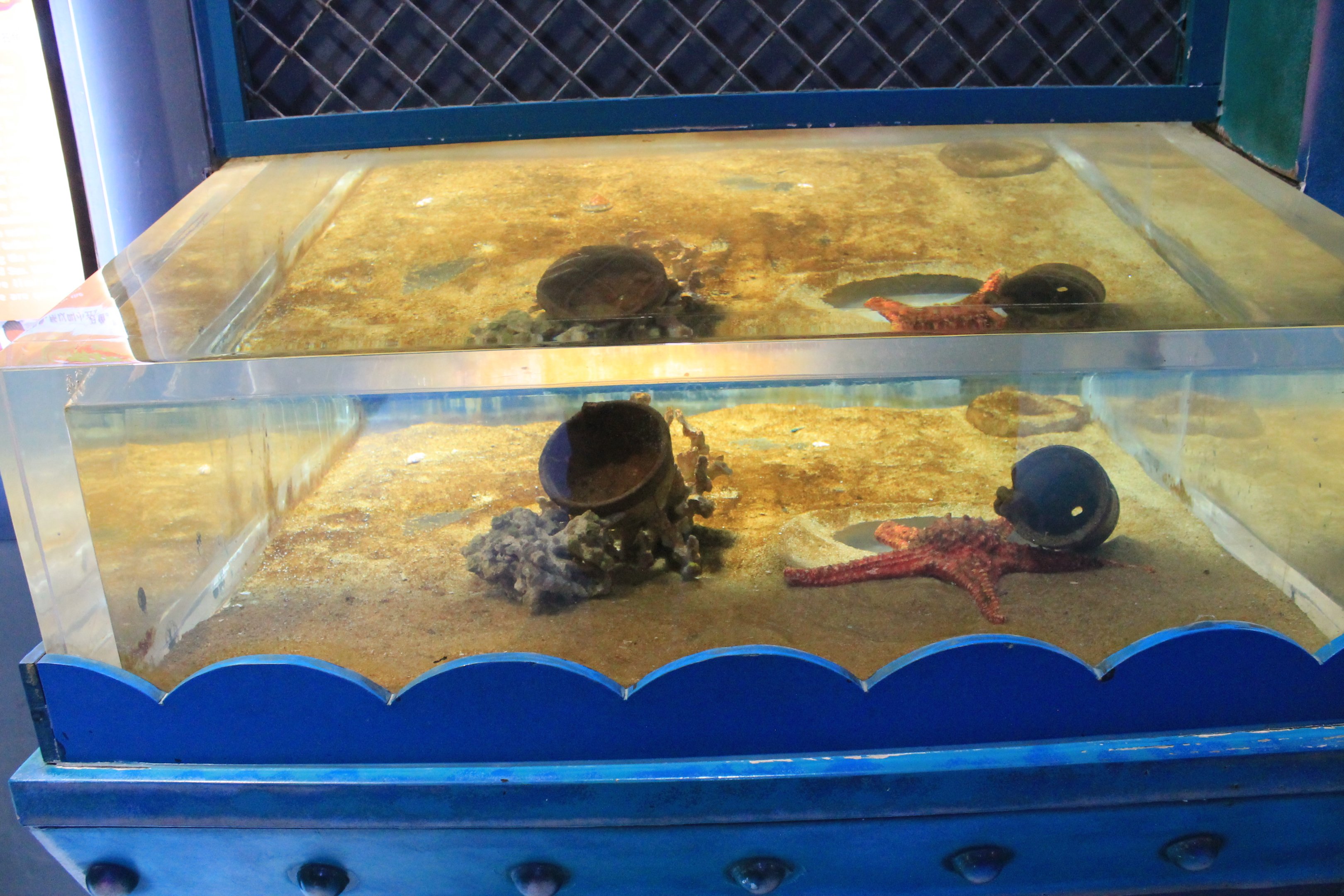 marine tank at Fantasy Aquarium, Xi'an