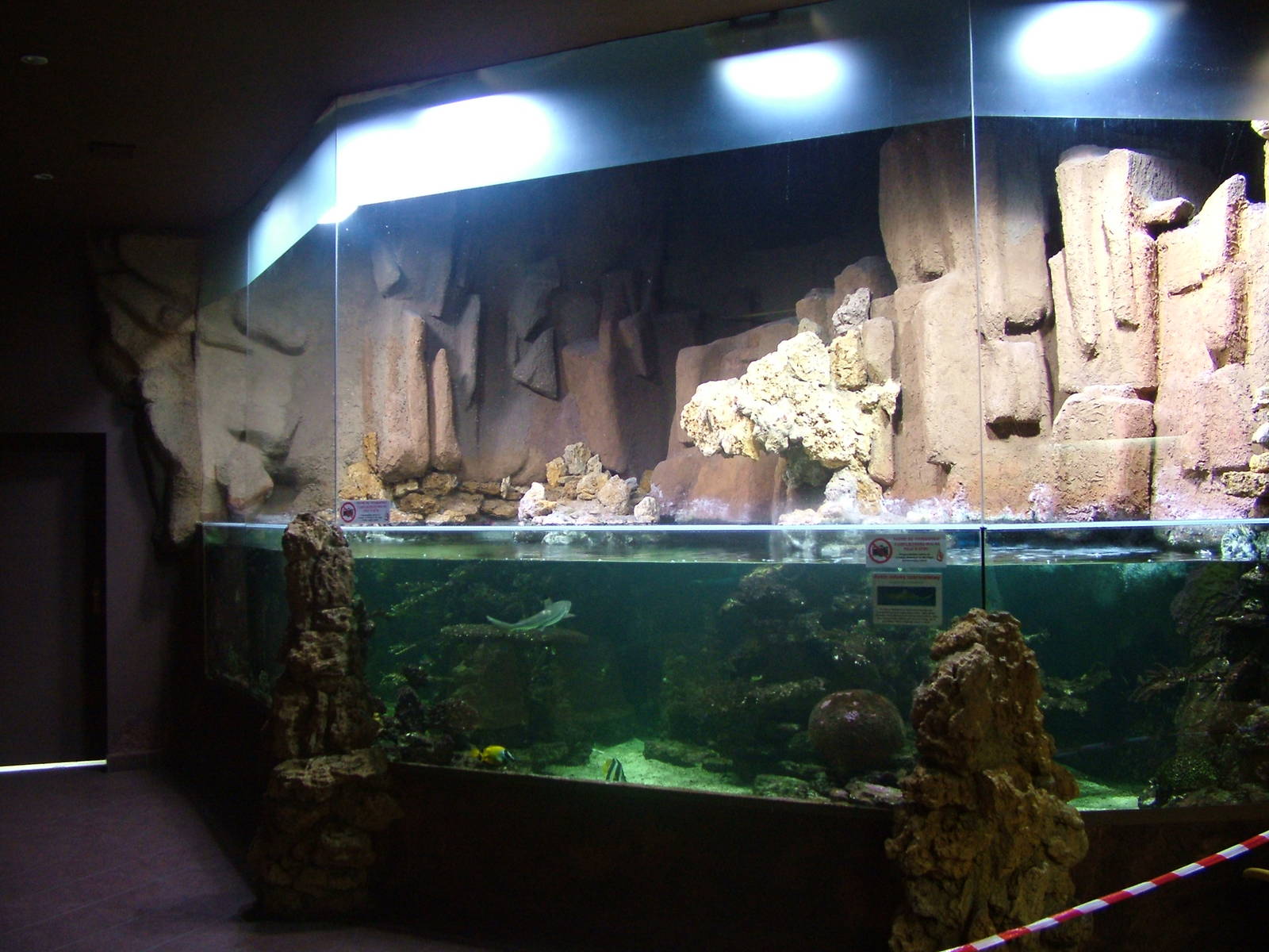 Marine tank at the Old Zoo, Poznan Sept 08
