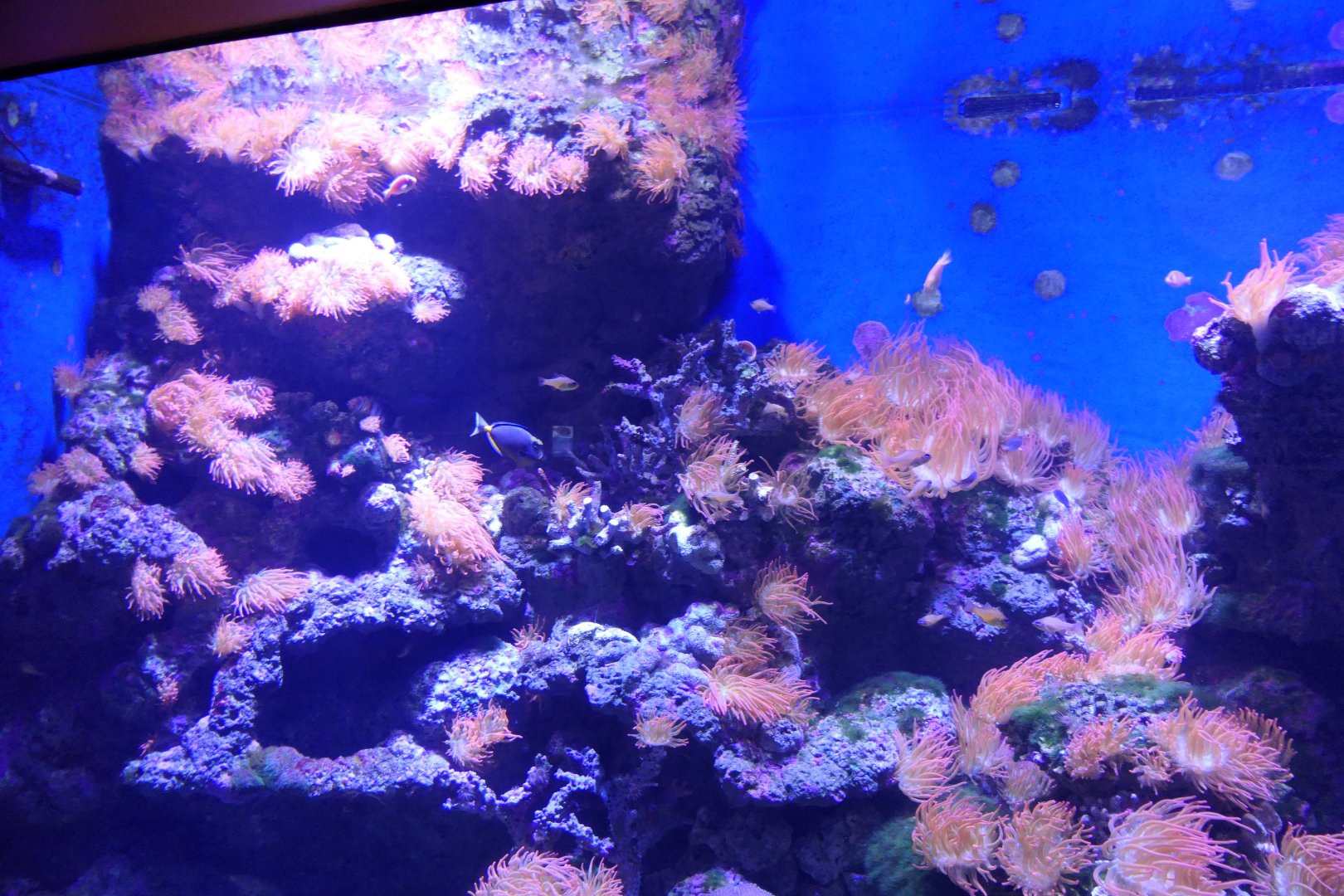 Marine tank example