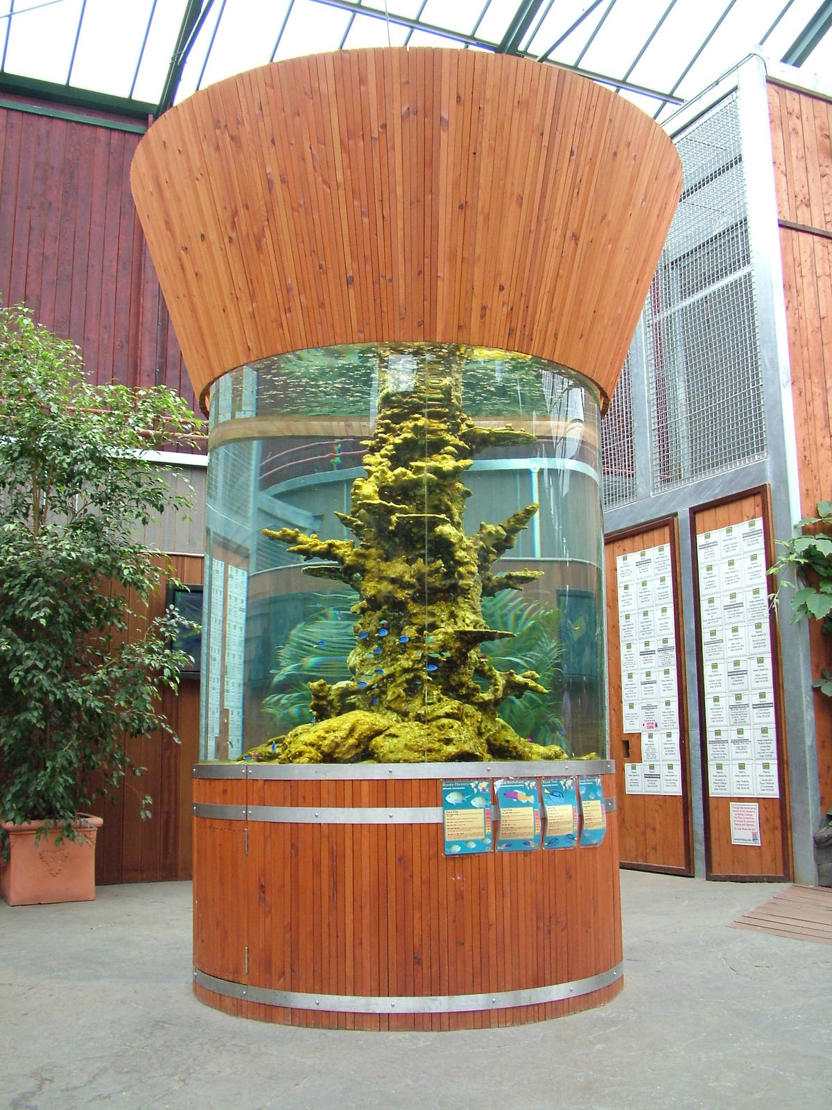 Marine tank in Orang-Utan Forest at Colchester 09/05/09