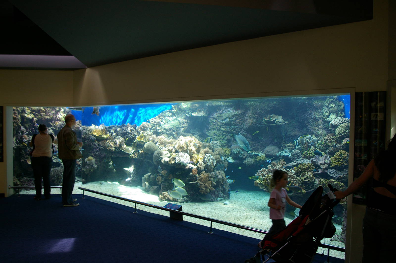 marine tank