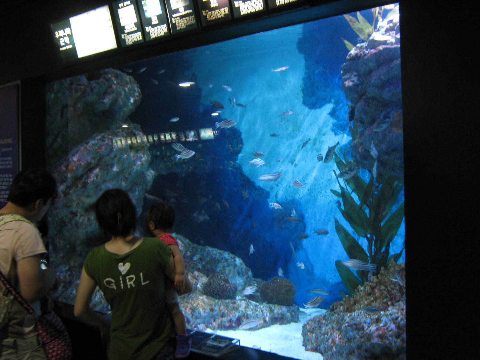 marine tank