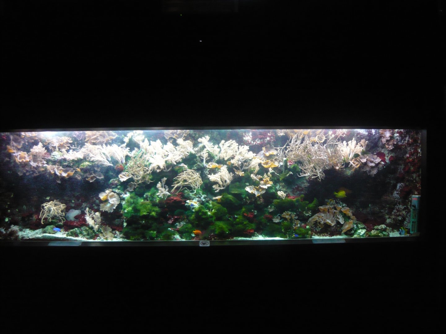 Marine tank