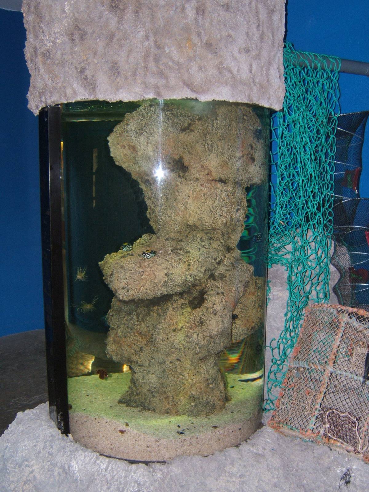 Marine Tank