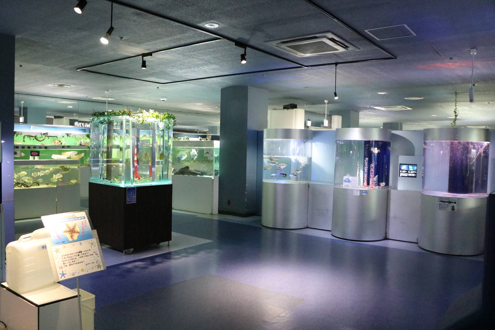 Marine tanks - Tokyo Tower Aquarium, February 2016