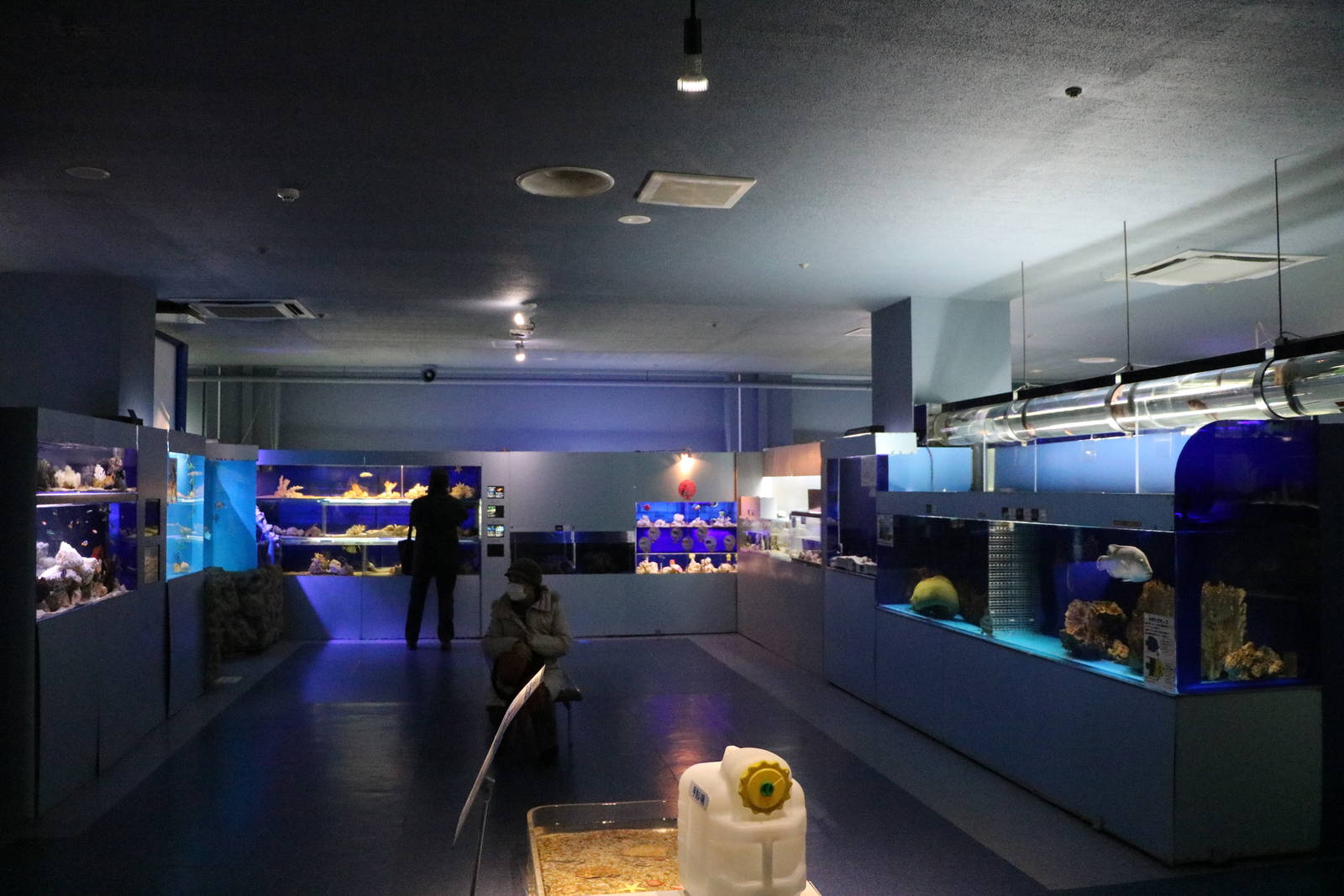Marine tanks - Tokyo Tower Aquarium, February 2016