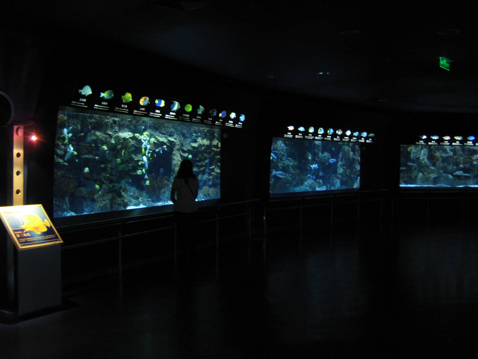marine tanks