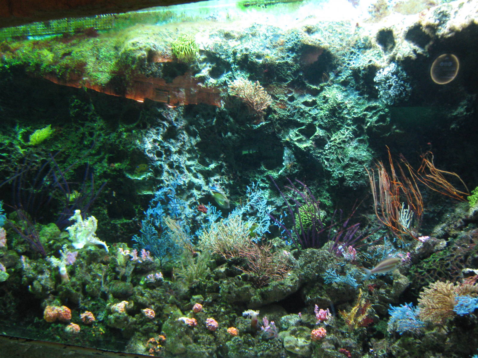 marine tanks