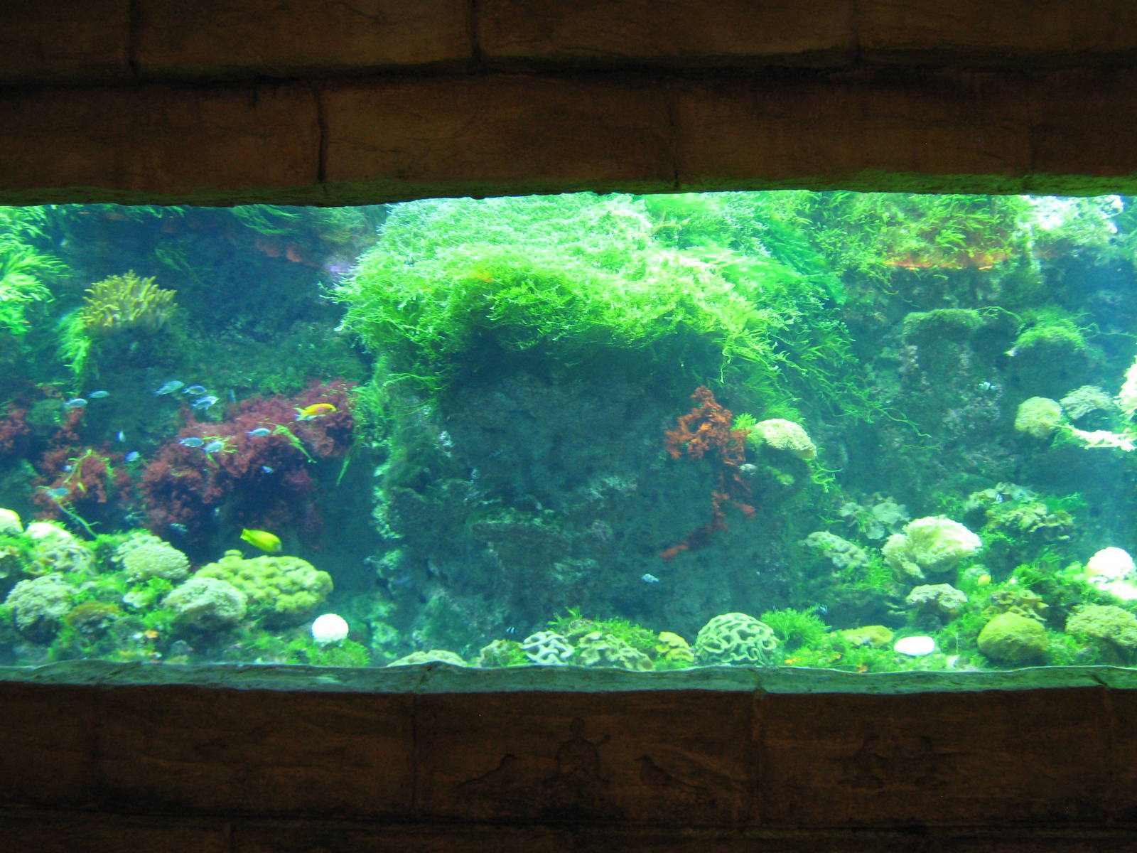 marine tanks