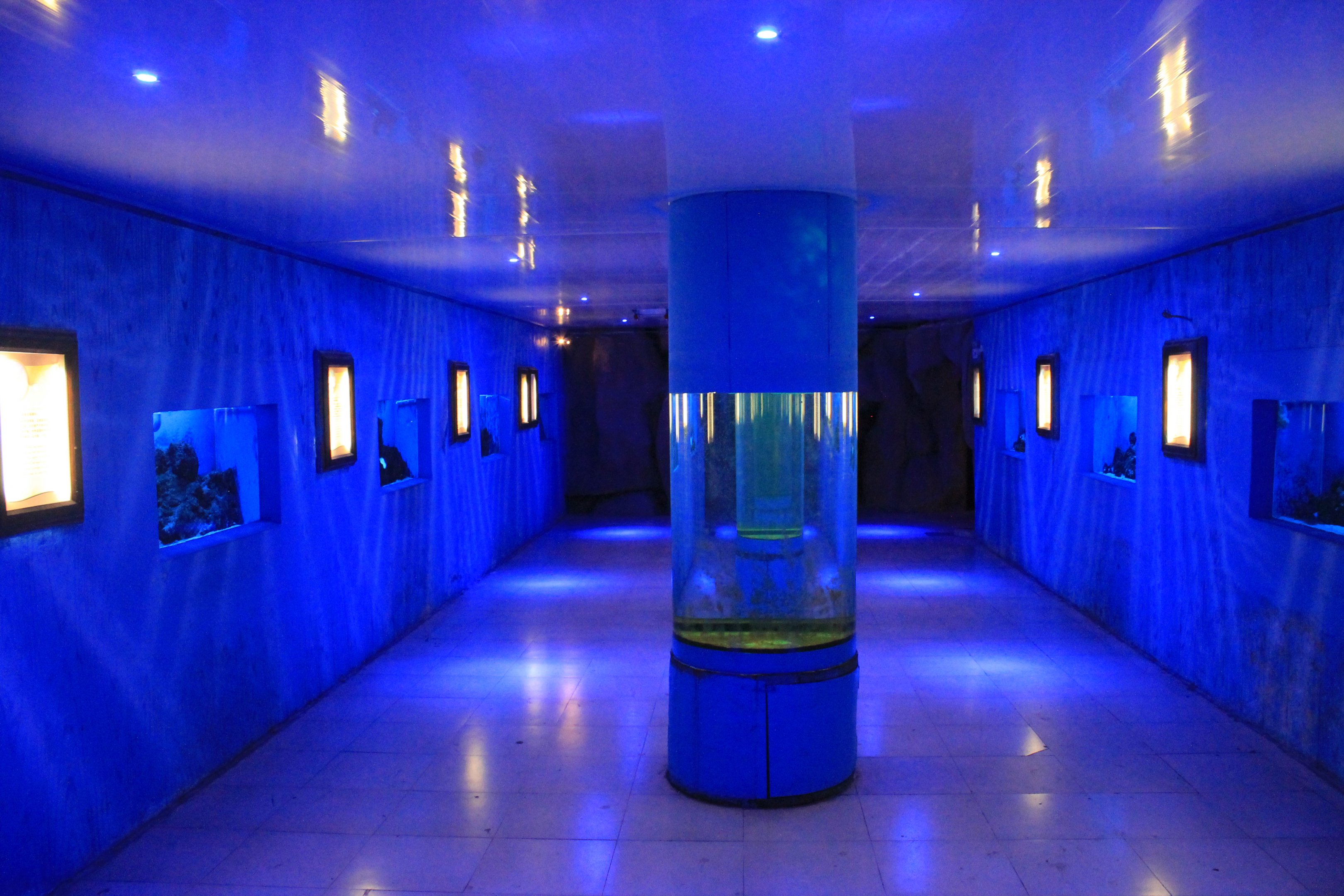 Marine tanks