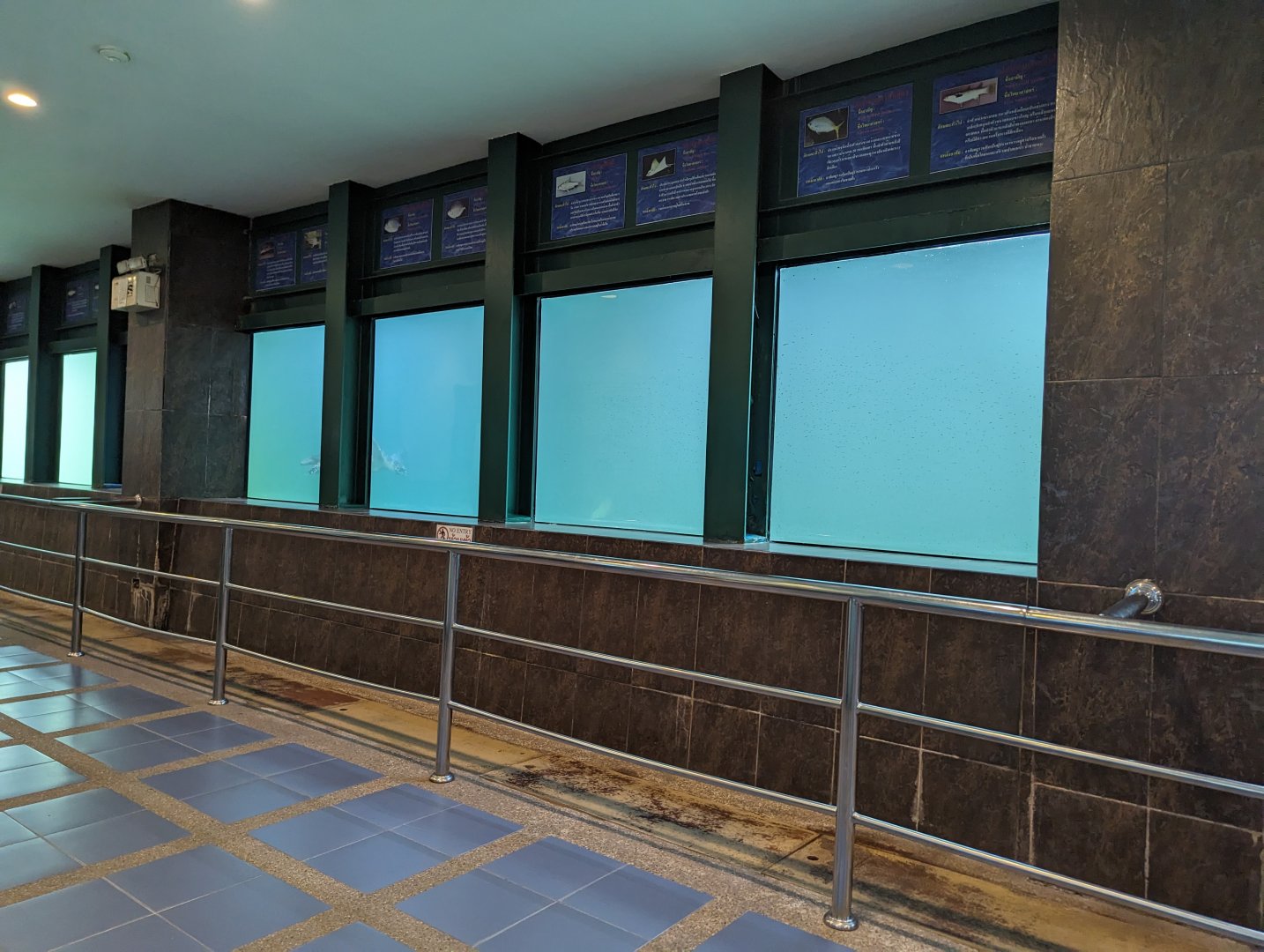 Marine Turtle Exhibit - Rayong Aquarium