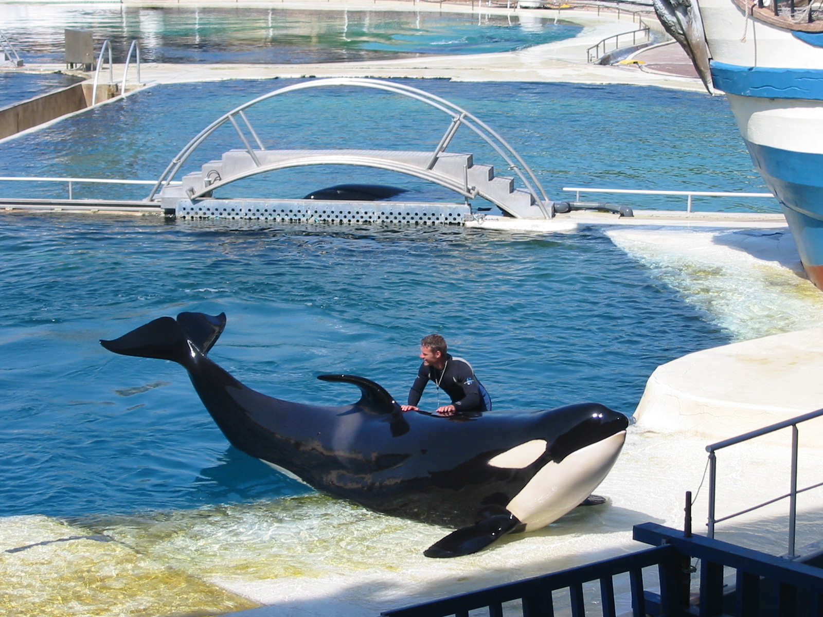 Marineland Antibes 2005 - Killer Whale Stadium show