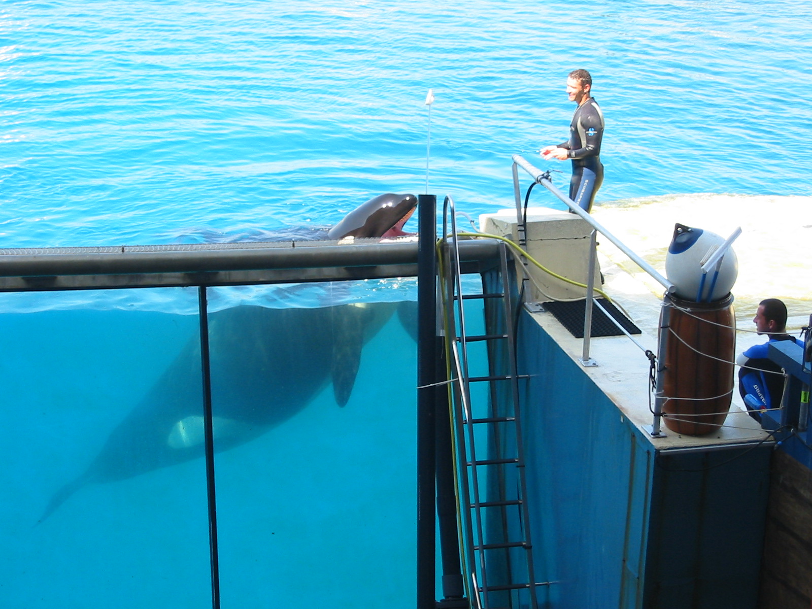 Marineland Antibes 2005 - Killer Whale Stadium show
