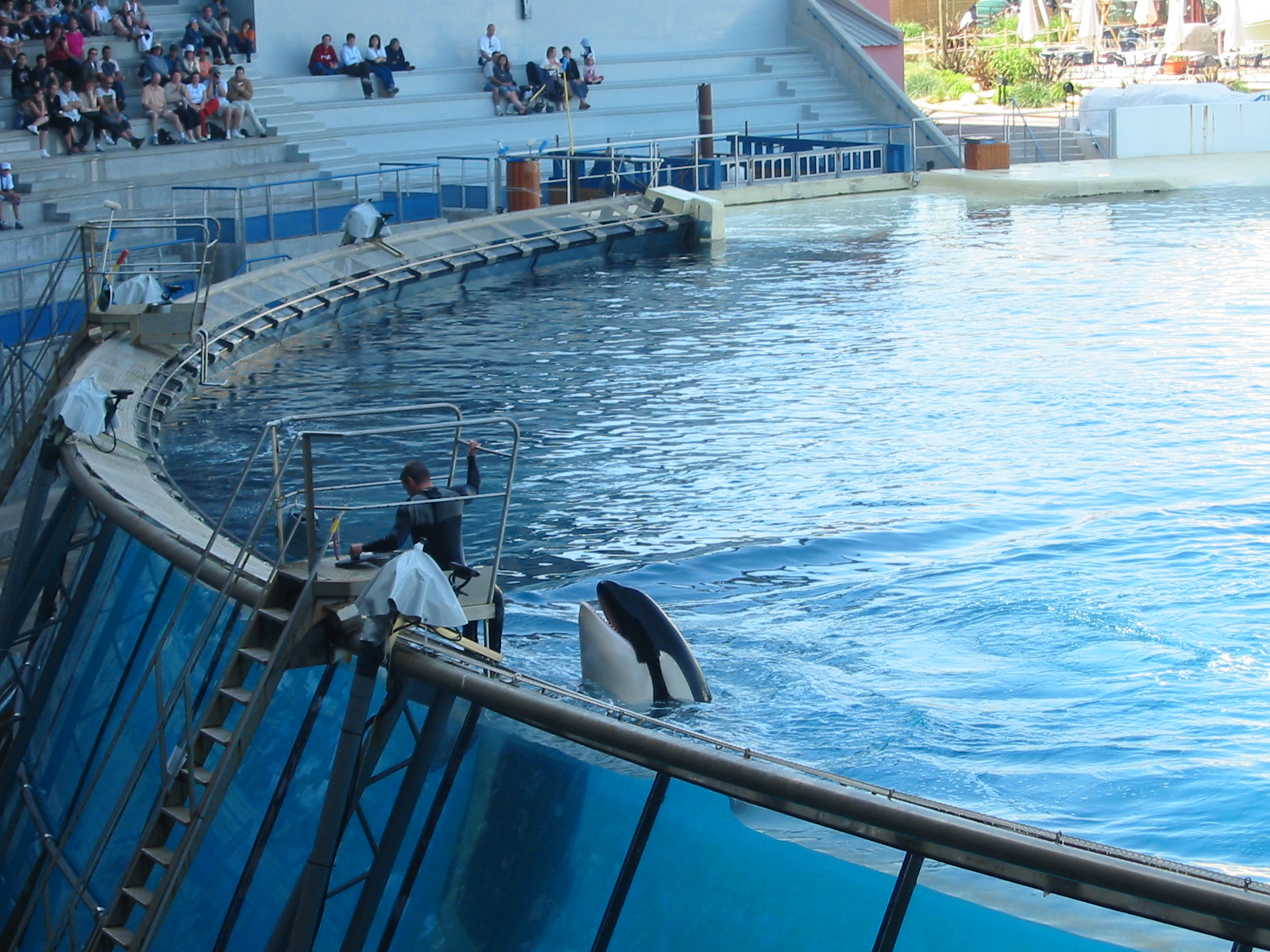 Marineland Antibes 2005 - Killer Whale Stadium show