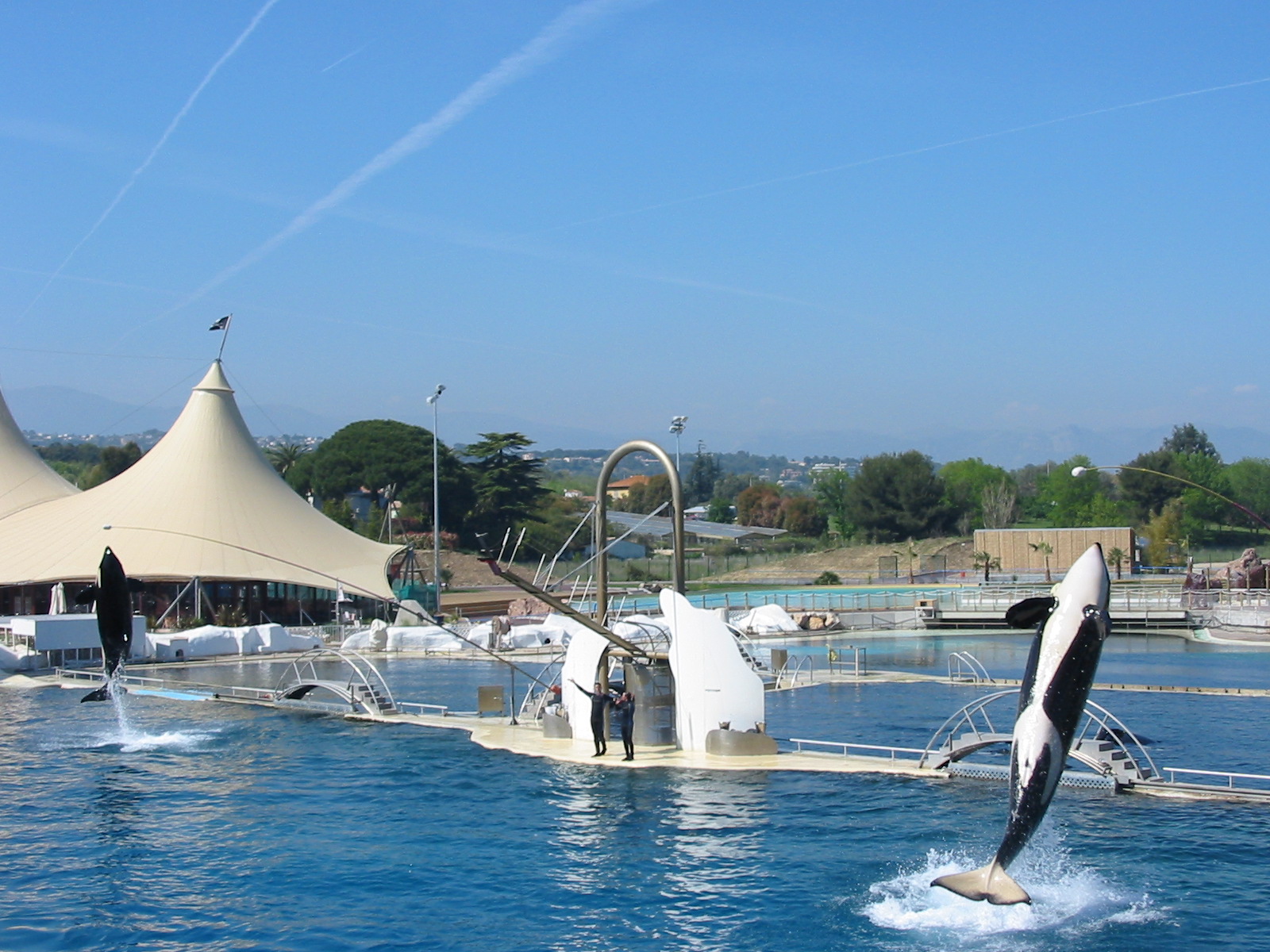 Marineland Antibes 2005 - Killer Whale Stadium show