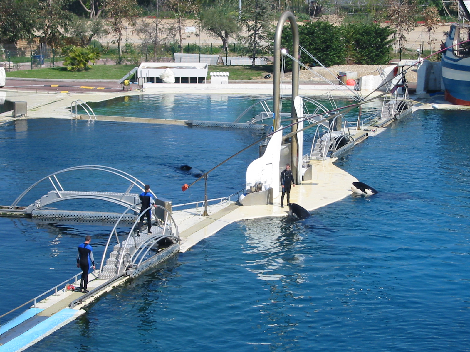 Marineland Antibes 2005 - Killer Whale training between shows