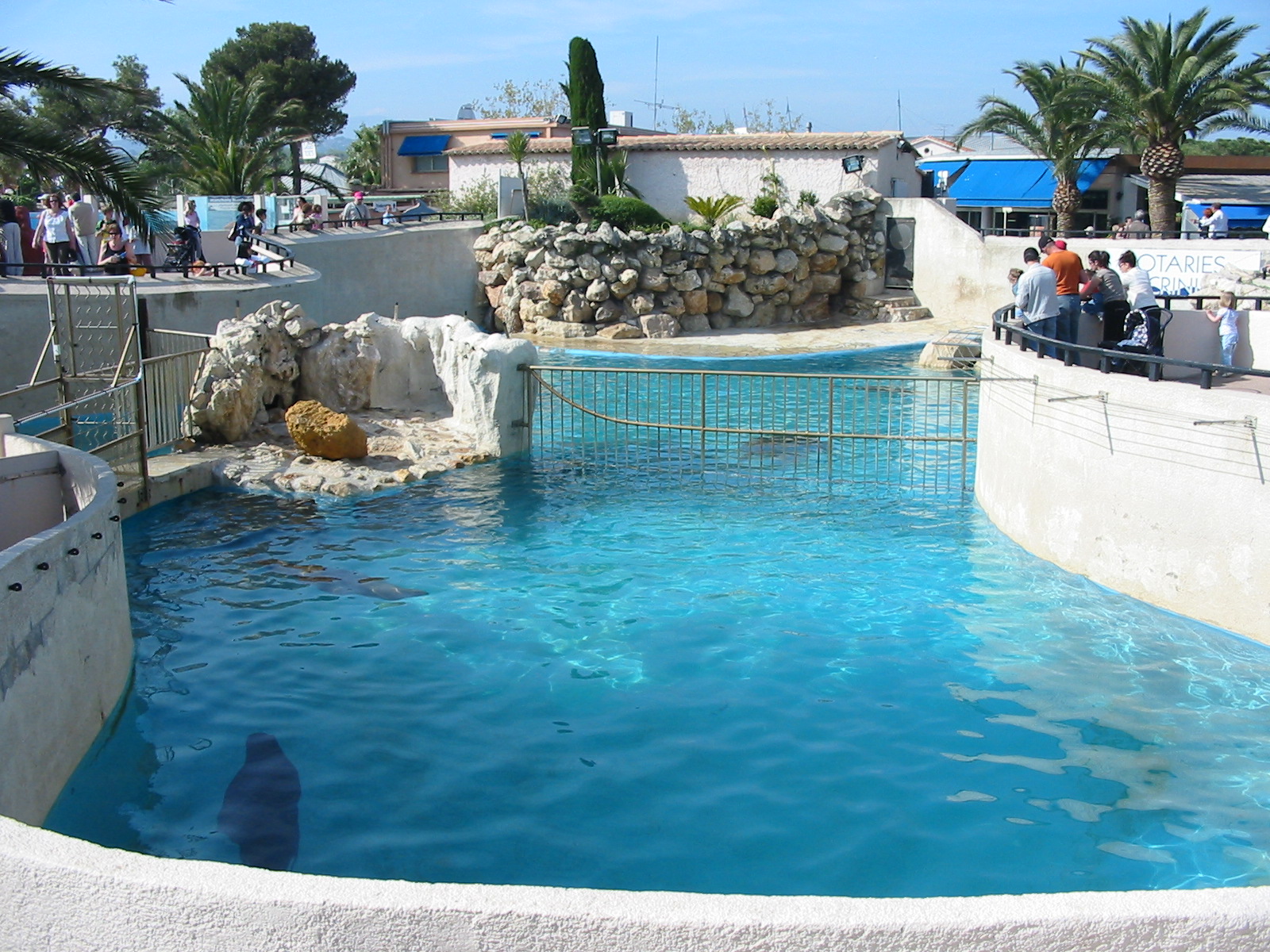 Marineland Antibes 2005 - Mixed pinniped pool