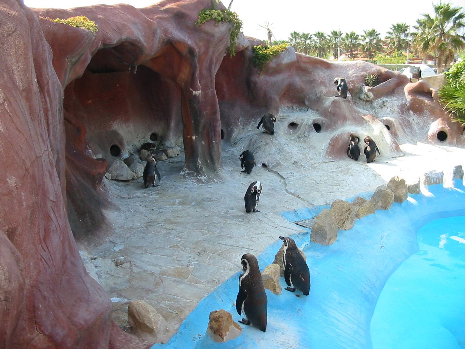 Marineland Antibes 2005 - Penguin exhibit
