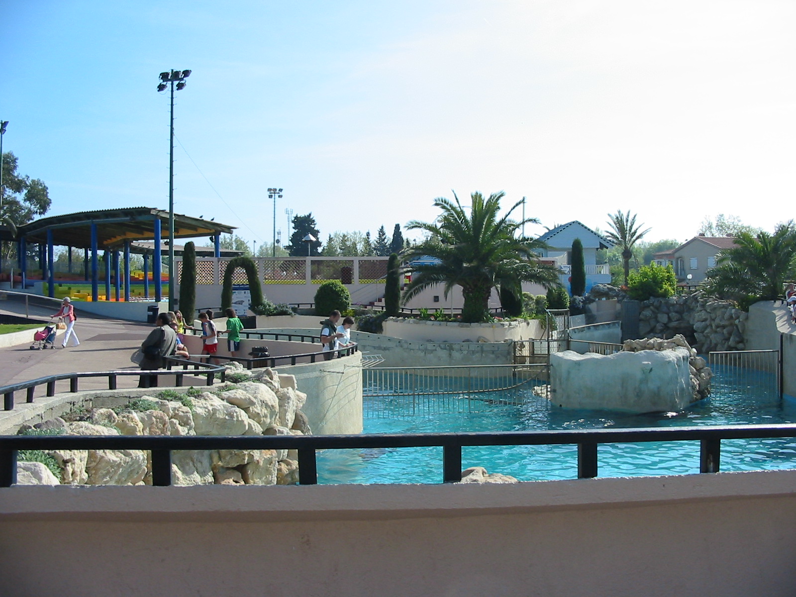 Marineland Antibes 2005 - South American Sea Lion pool