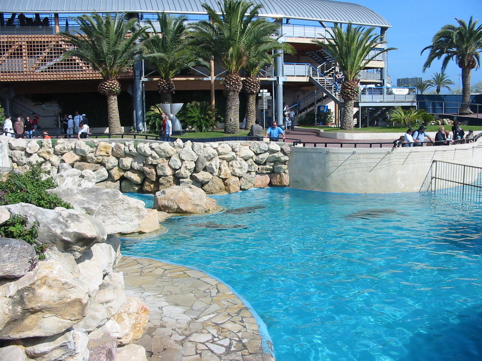 Marineland Antibes 2005 - South American Sea Lion pool