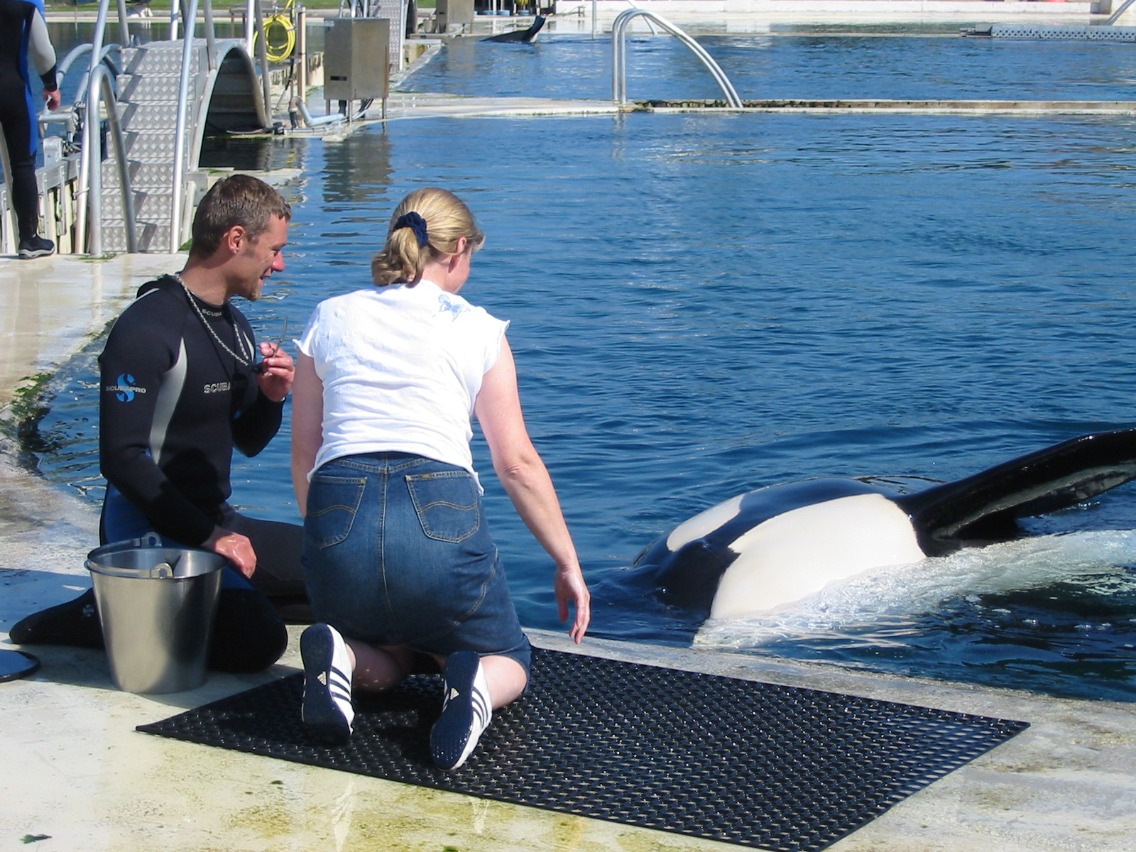 Marineland Antibes 2005 - Visitor gets to feed a Killer Whale