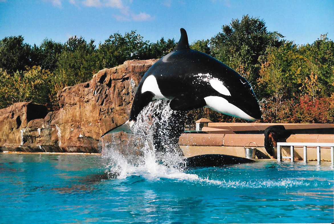 Marineland Canada, Nov 2003