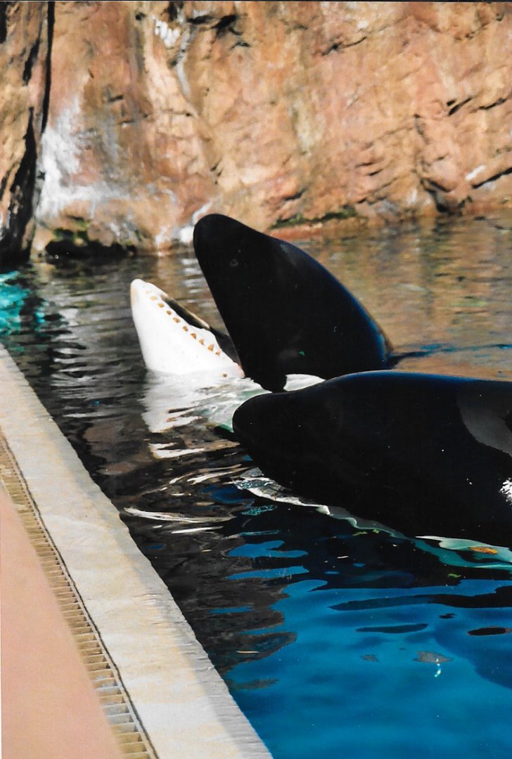 Marineland Canada, Nov 2003
