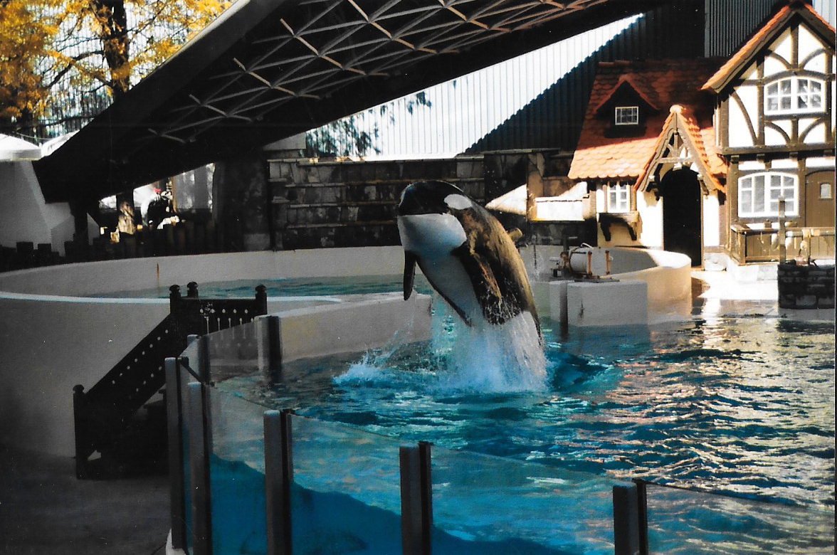 Marineland Canada, Nov 2003