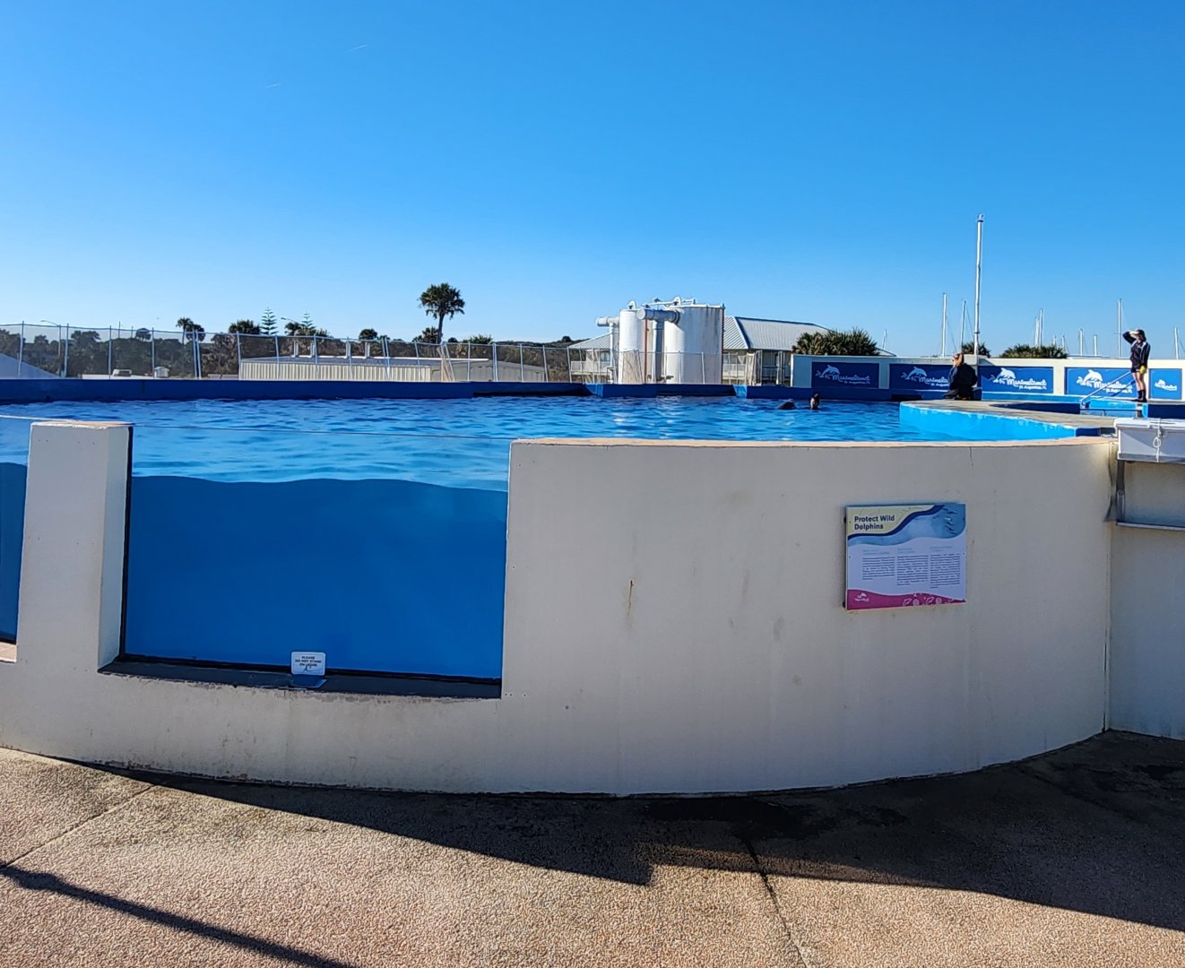 Marineland Dolphin Adventure - Dolphin exhibit