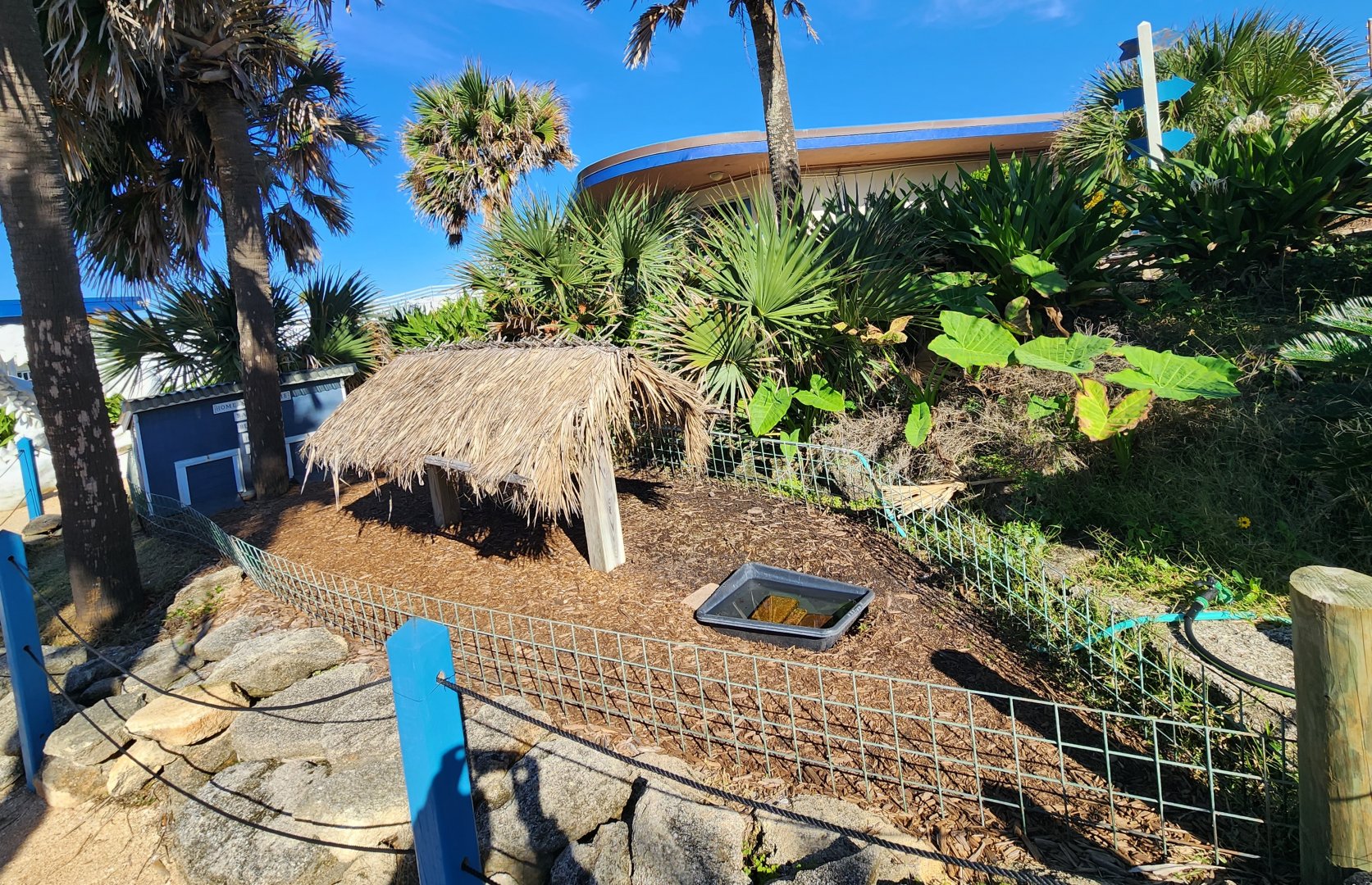 Marineland Dolphin Adventure - Red-footed Tortoise enclosure