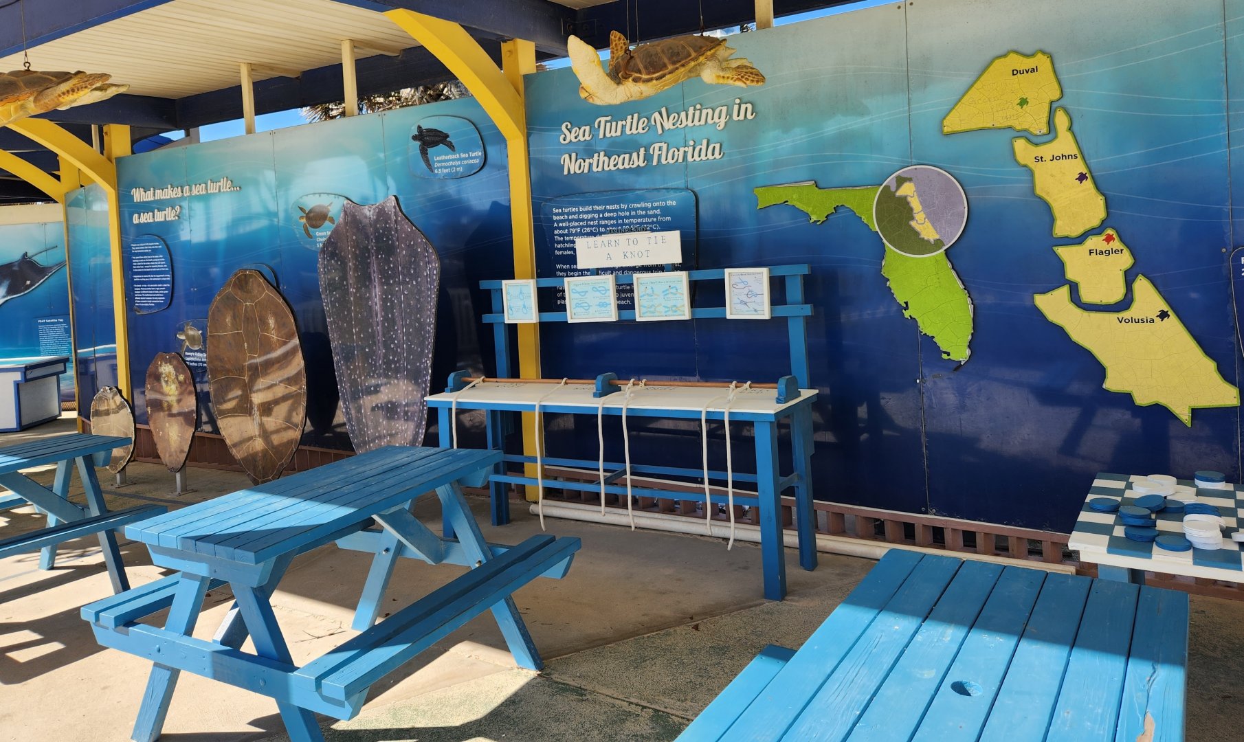 Marineland Dolphin Adventure - Sea Turtle nesting info