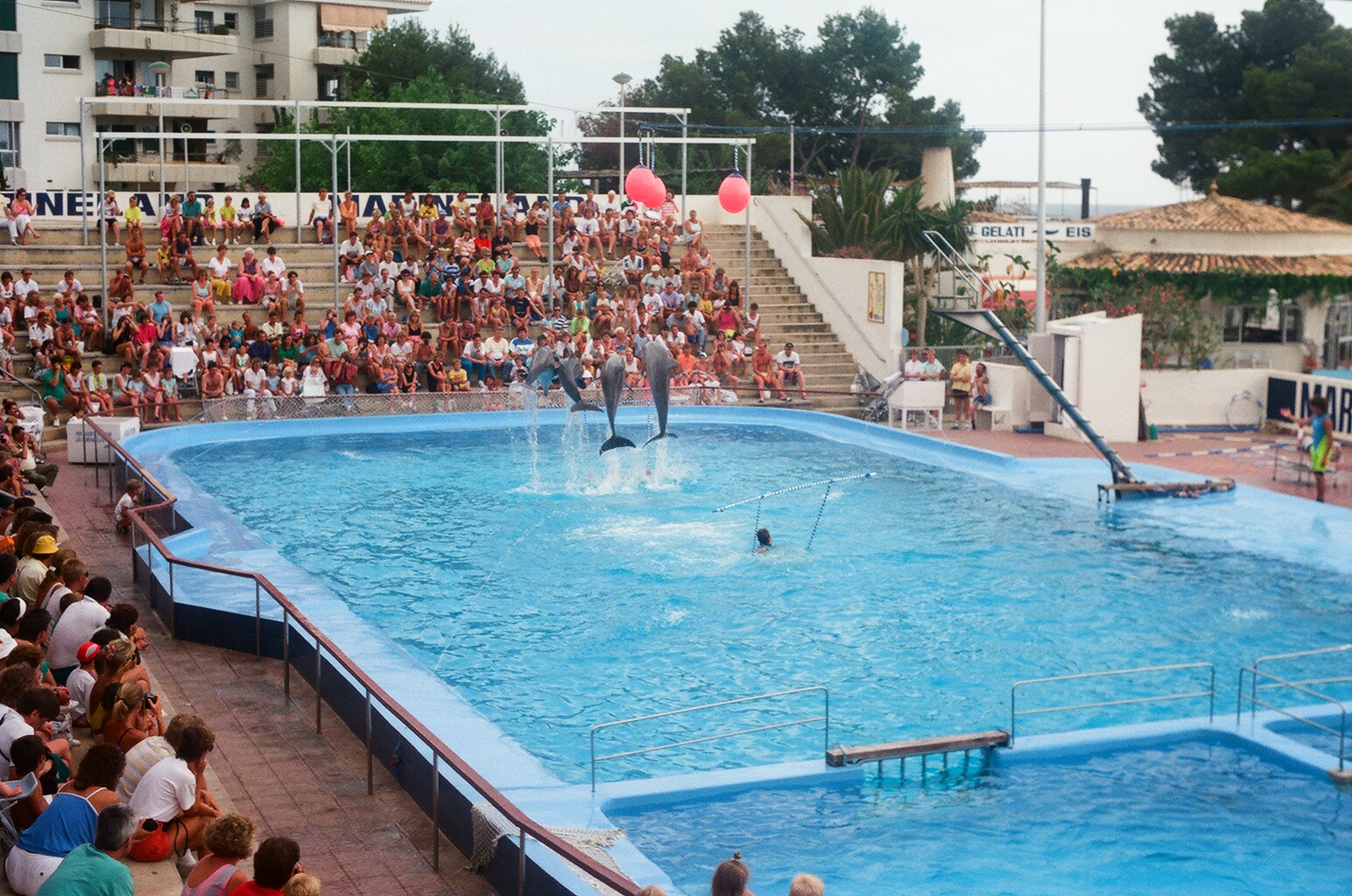 Marineland Mallorca 1989 - Dolphin Show