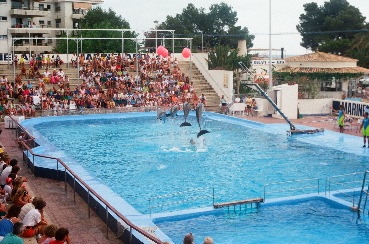 Marineland Mallorca 1989 - Dolphin Show