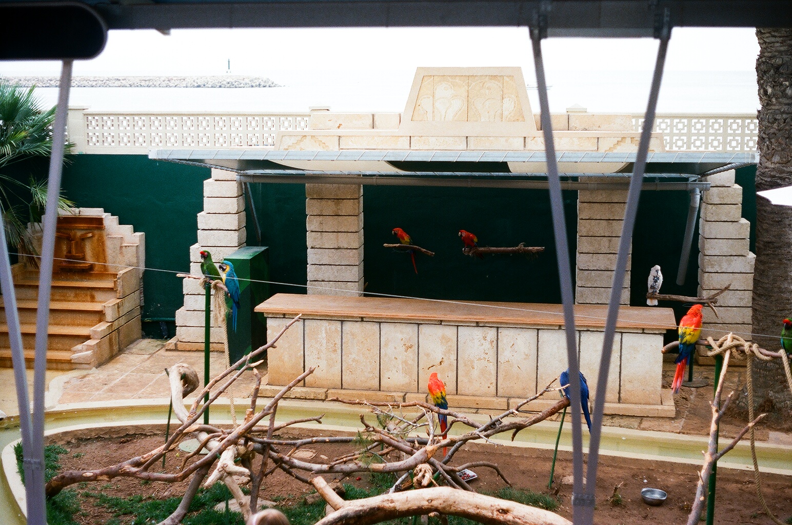 Marineland Mallorca 1989 - Parrot Show