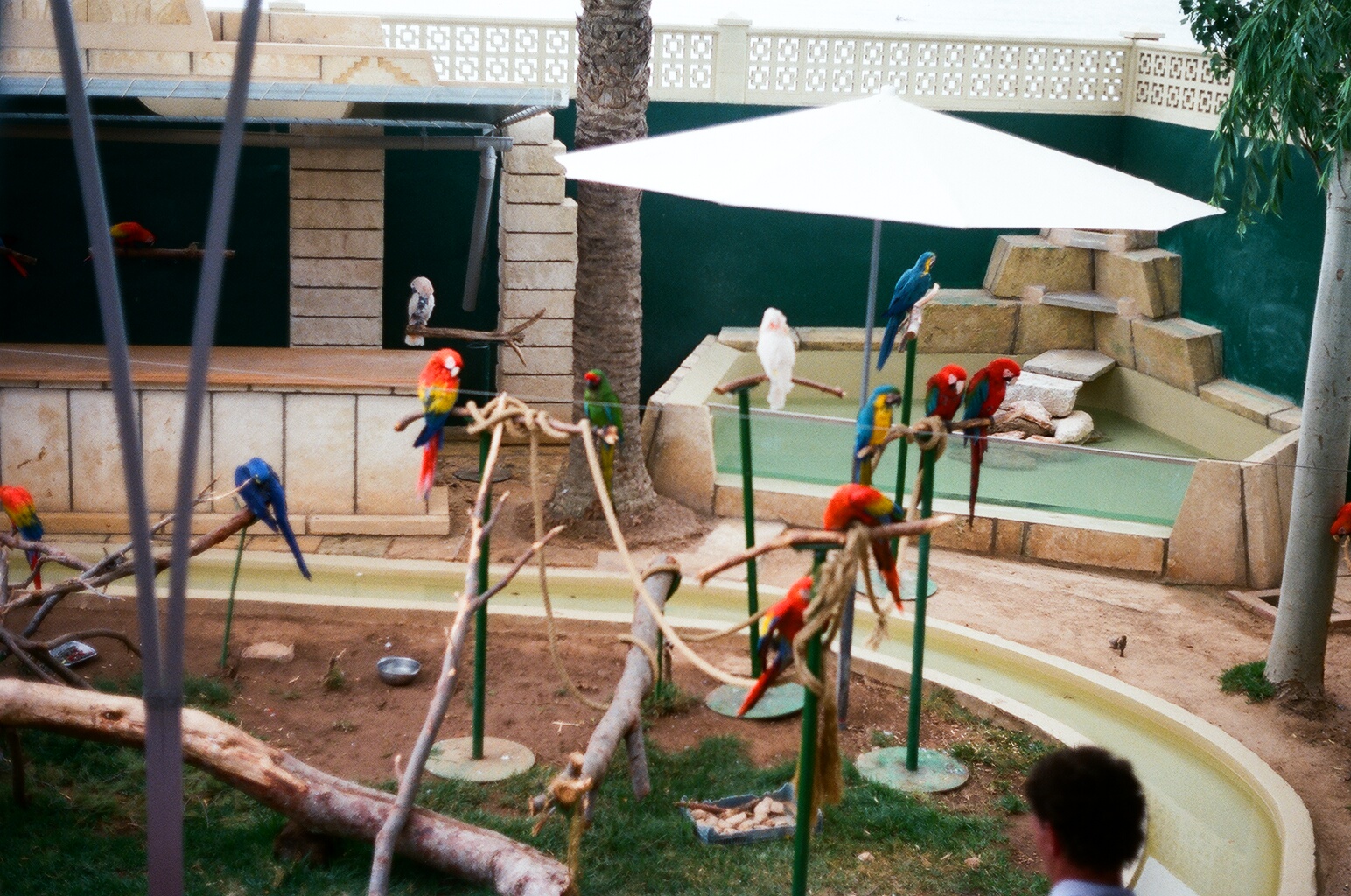 Marineland Mallorca 1989 - Parrot Show