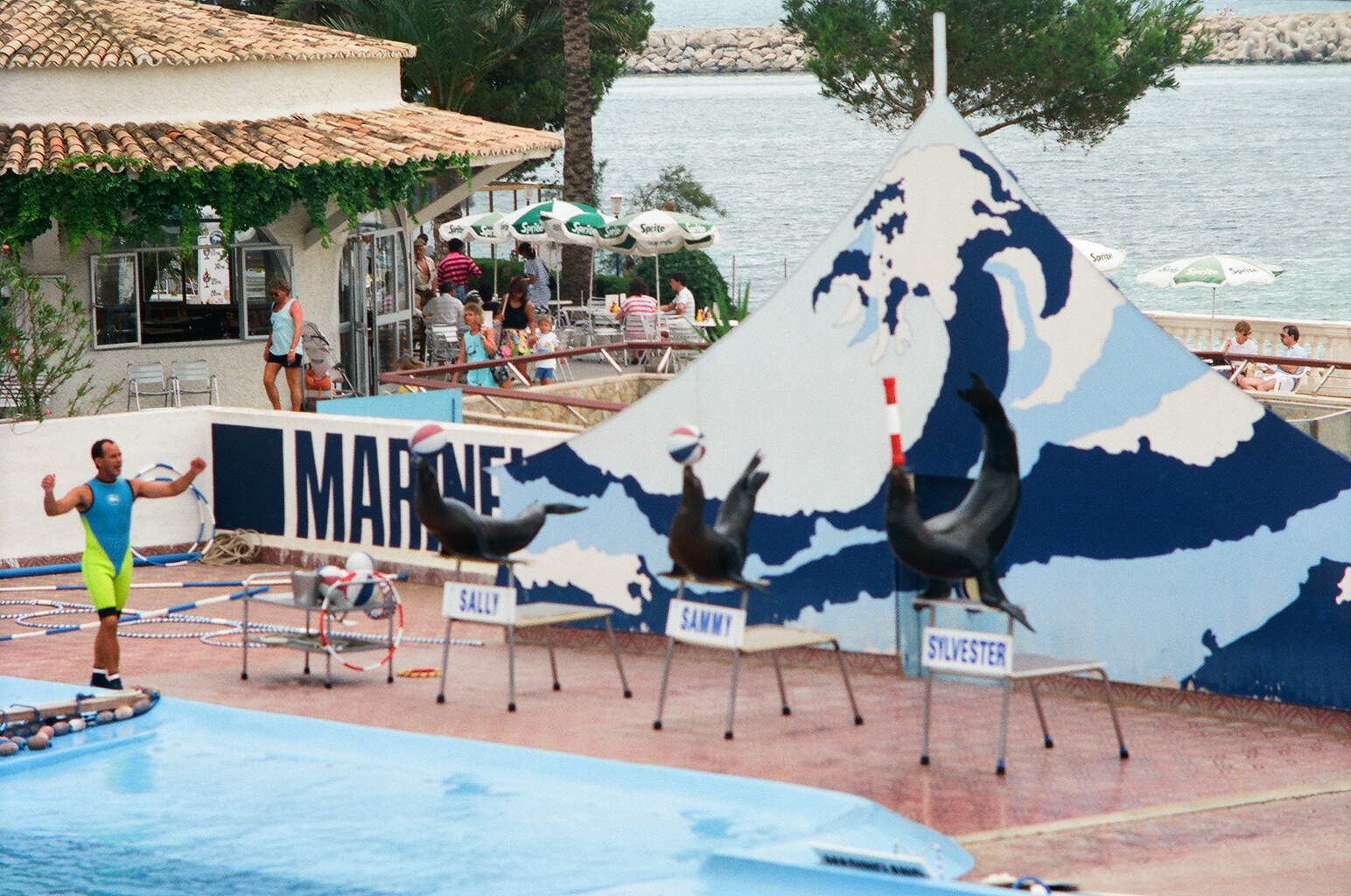 Marineland Mallorca 1989 - Sea Lion Show