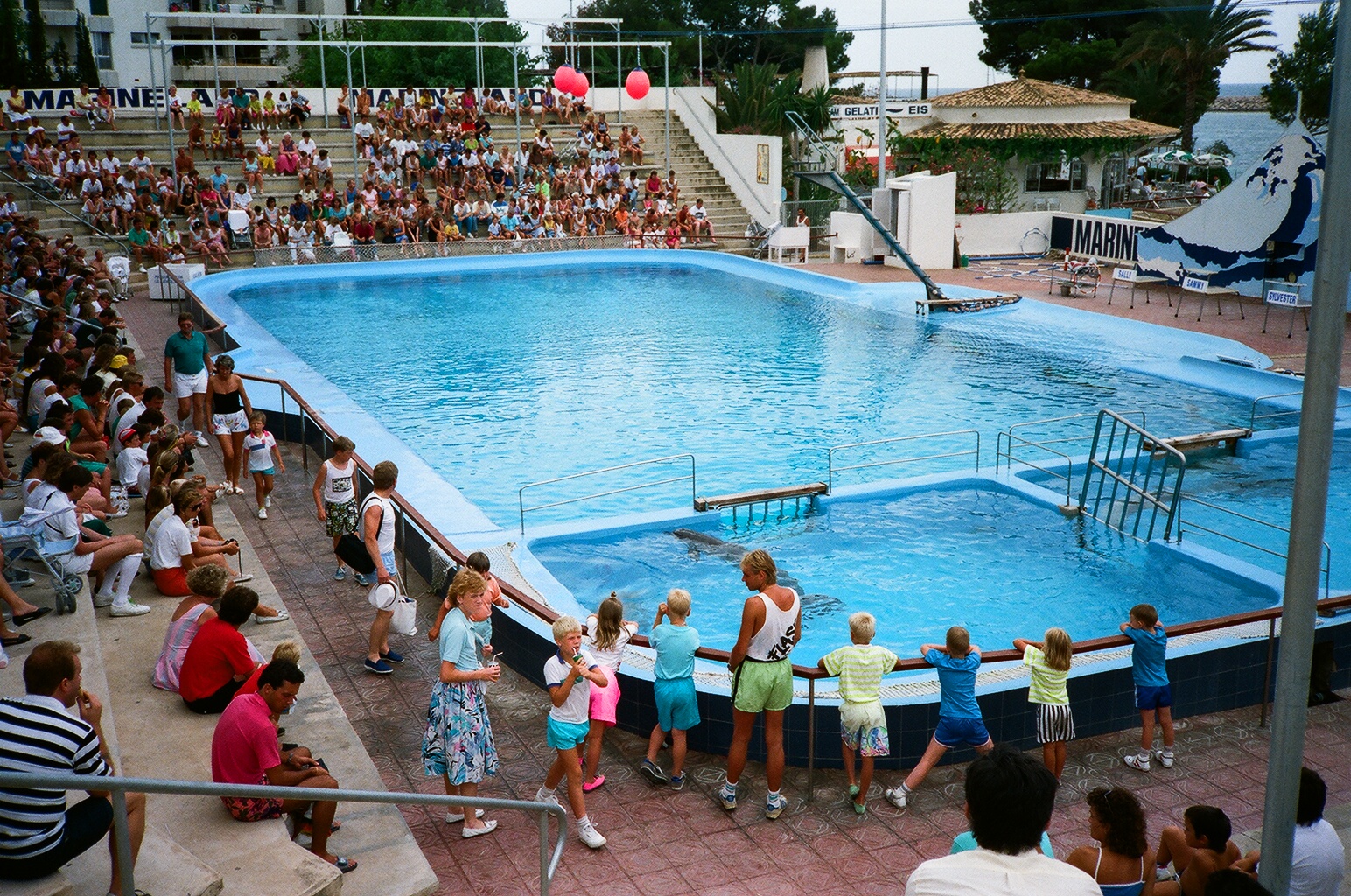 Marineland Mallorca 1989 - Tiny Dolphin pool
