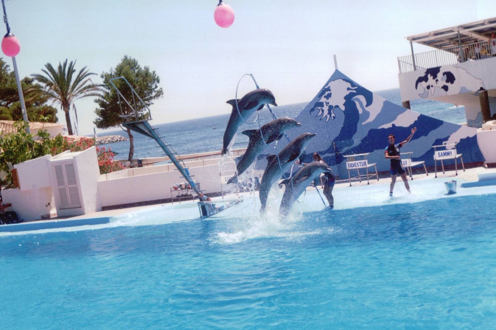 Marineland Mallorca 1993 - Dolphin Show