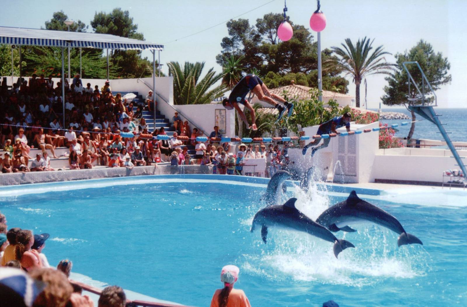 Marineland Mallorca 1993 - Dolphin Show